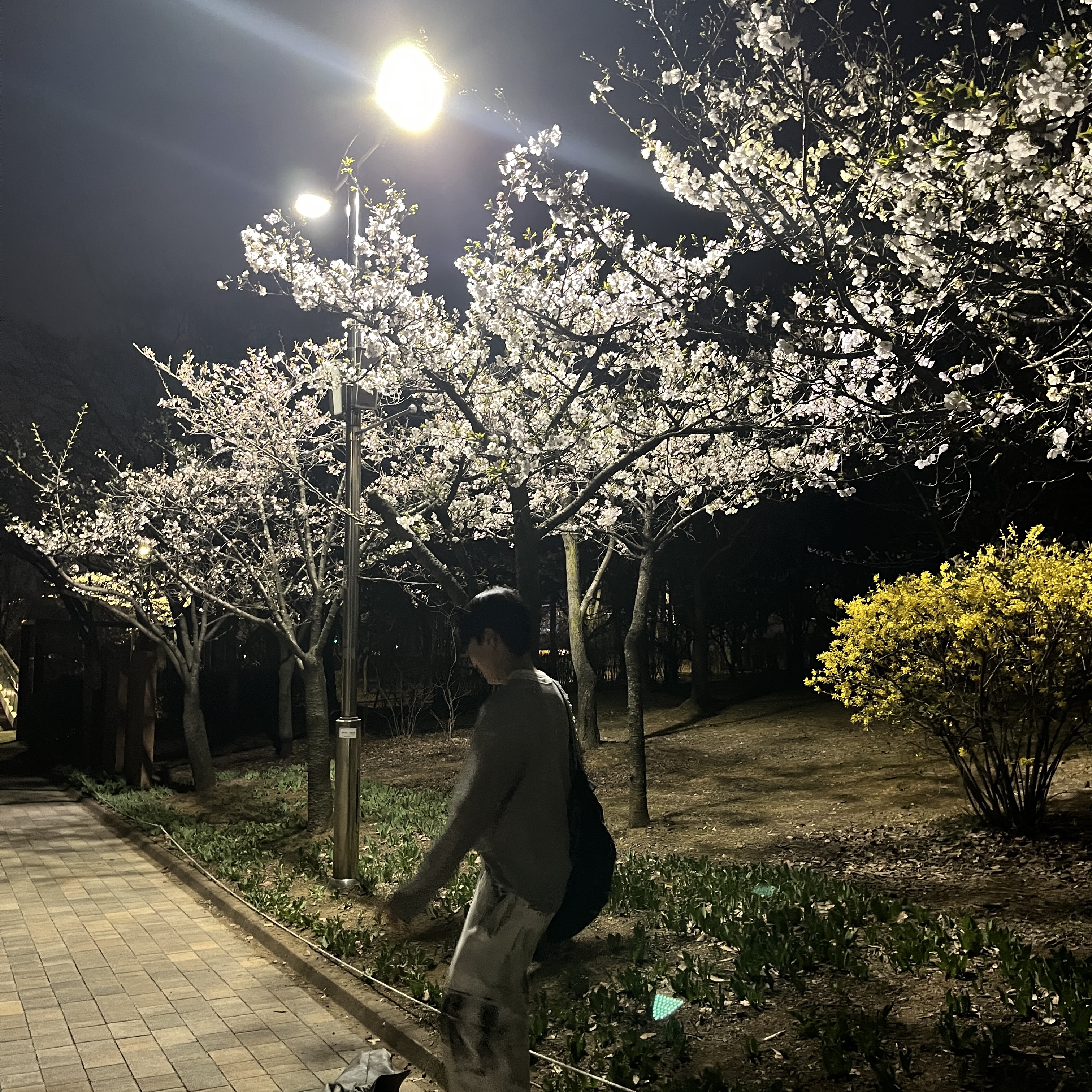 정영훈님의 스타일 - 3