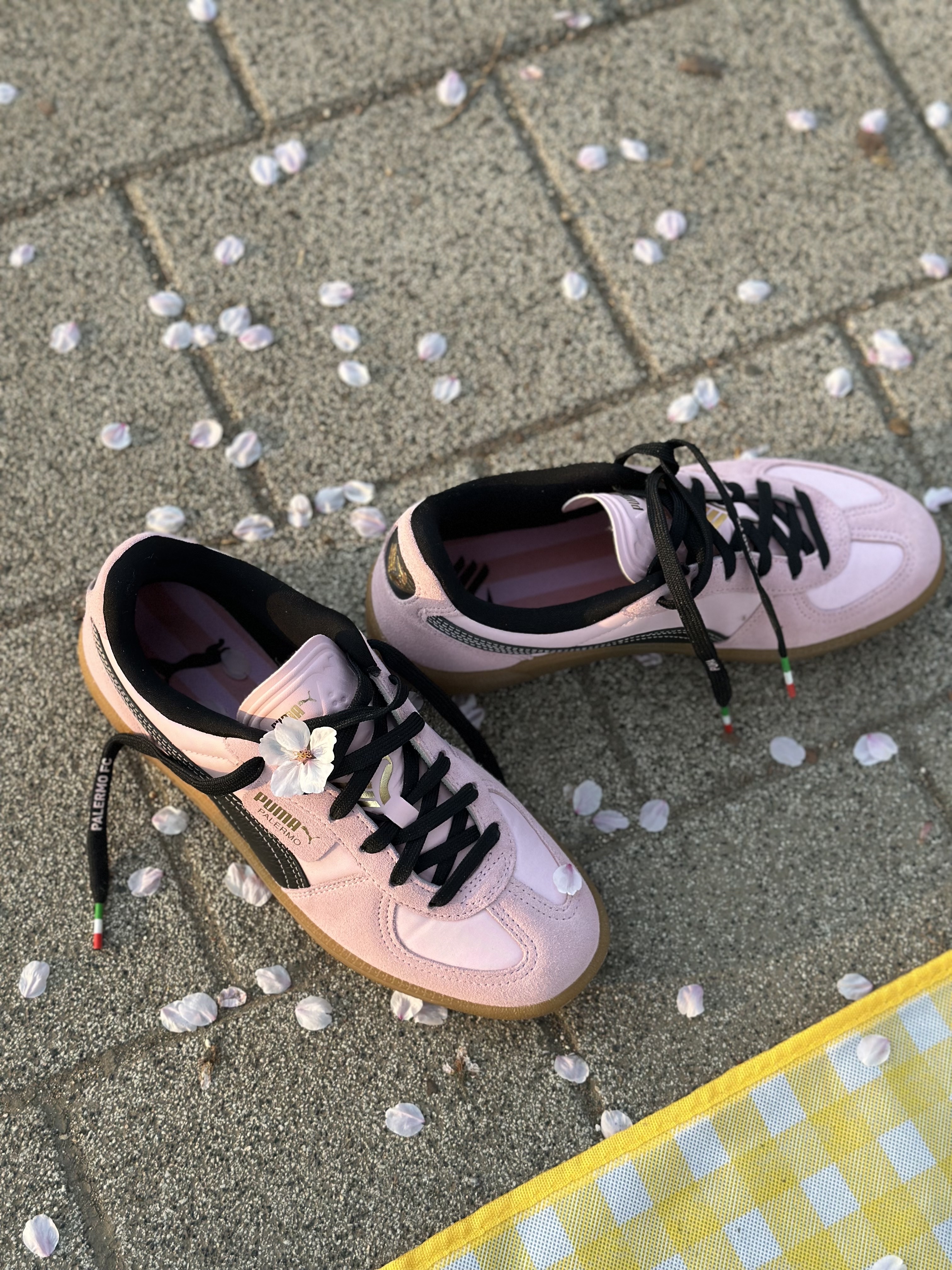 Puma x Palermo F.C. Sneakers Bright Pink Black 착용 스타일 - 4