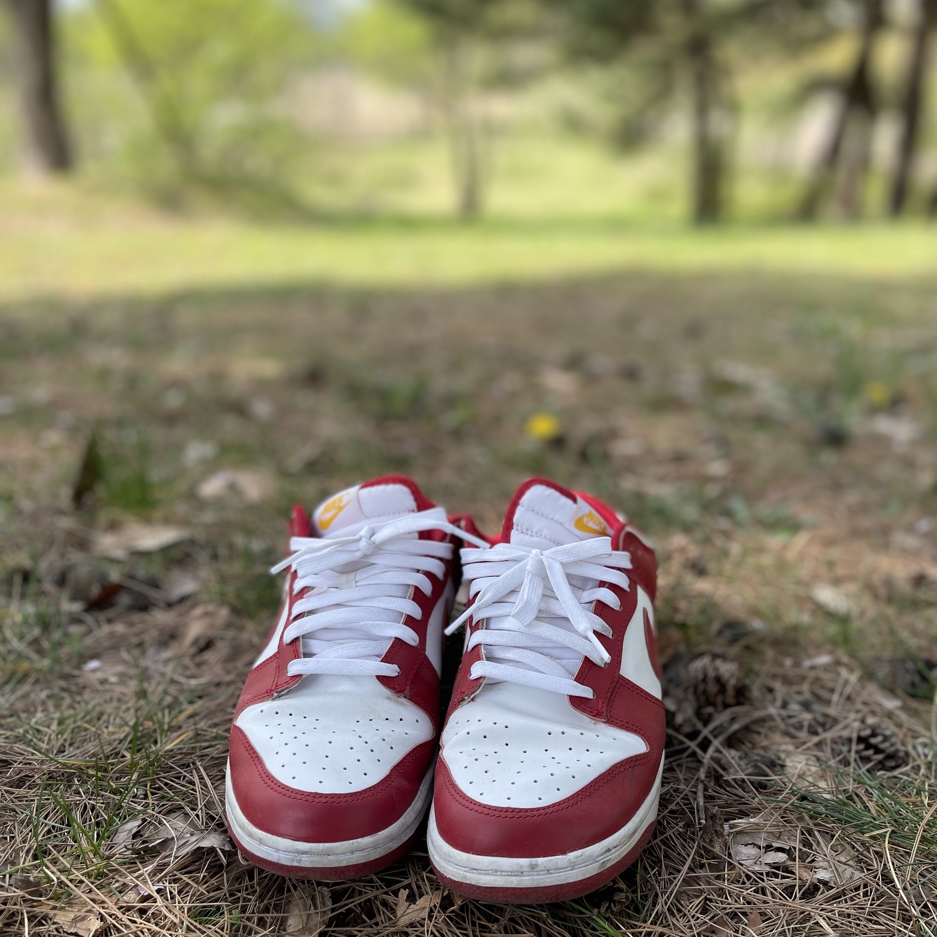 Nike Dunk Low Retro Gym Red 착용 스타일