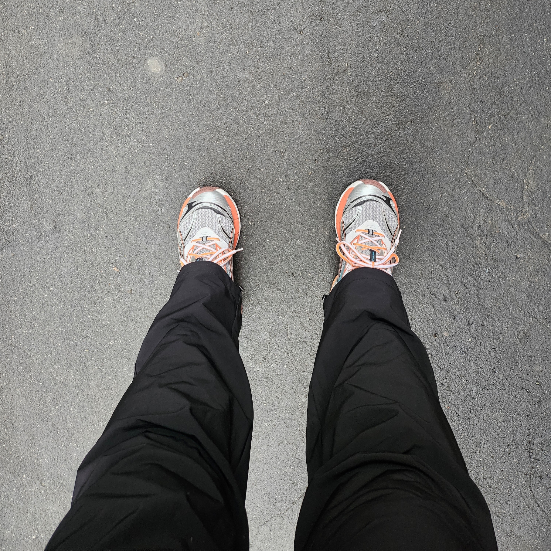 Puma Velophasis Phased Cool Light Gray Chili Powder 착용 스타일