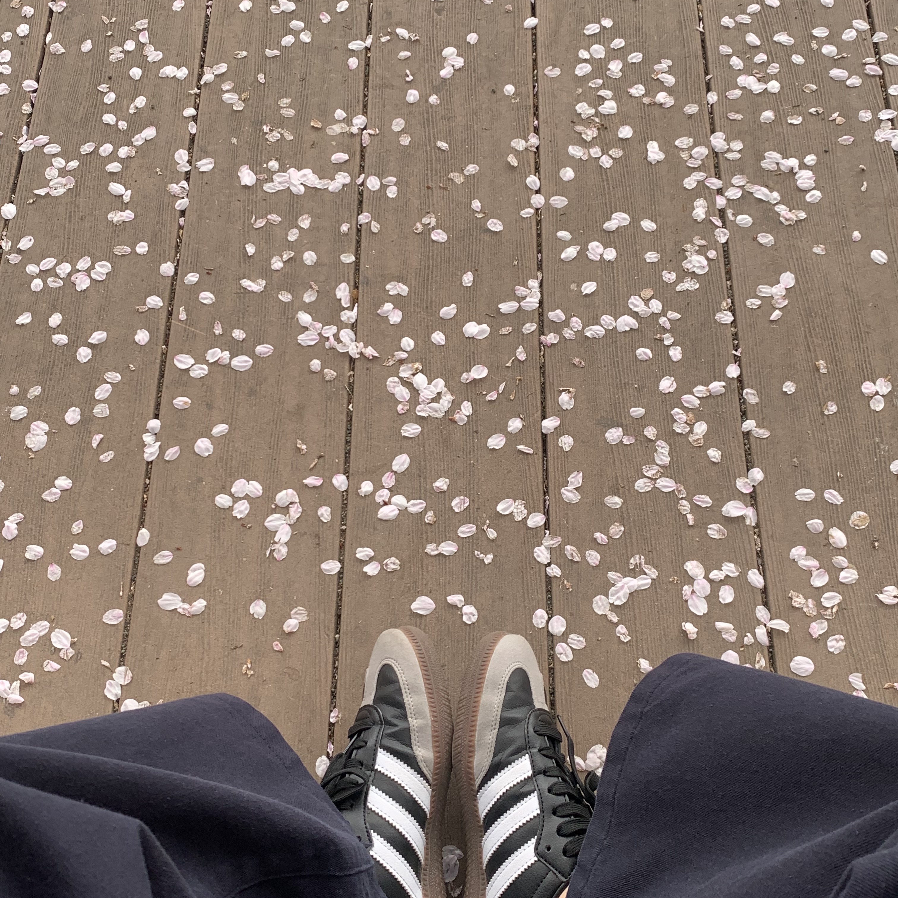 Adidas Samba Vegan Black White 착용 스타일