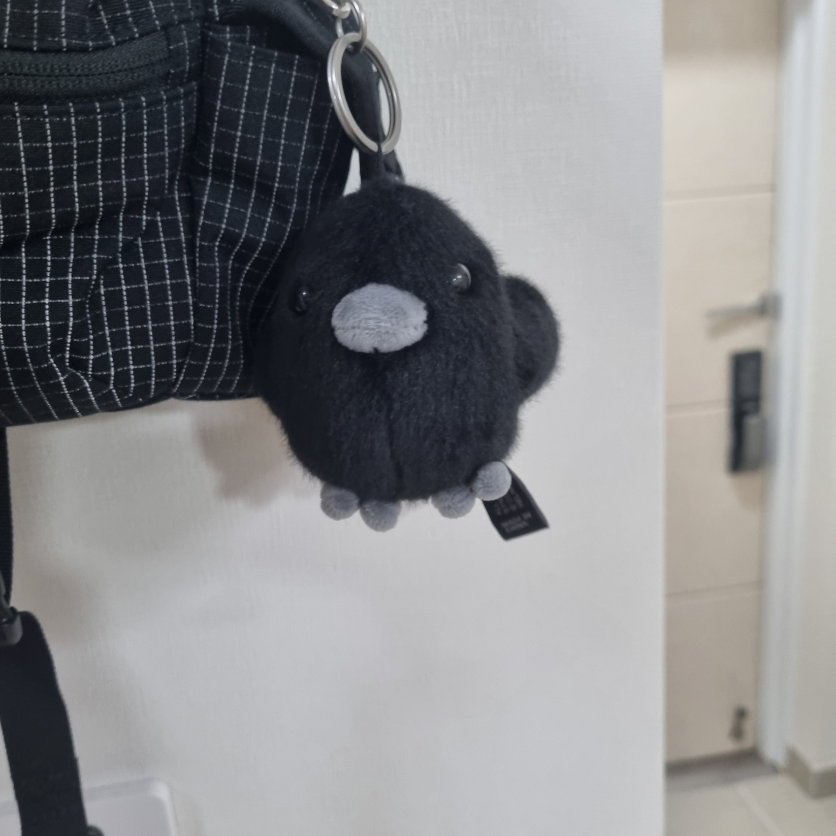 Helinox Catchy Keyring Black 착용 스타일