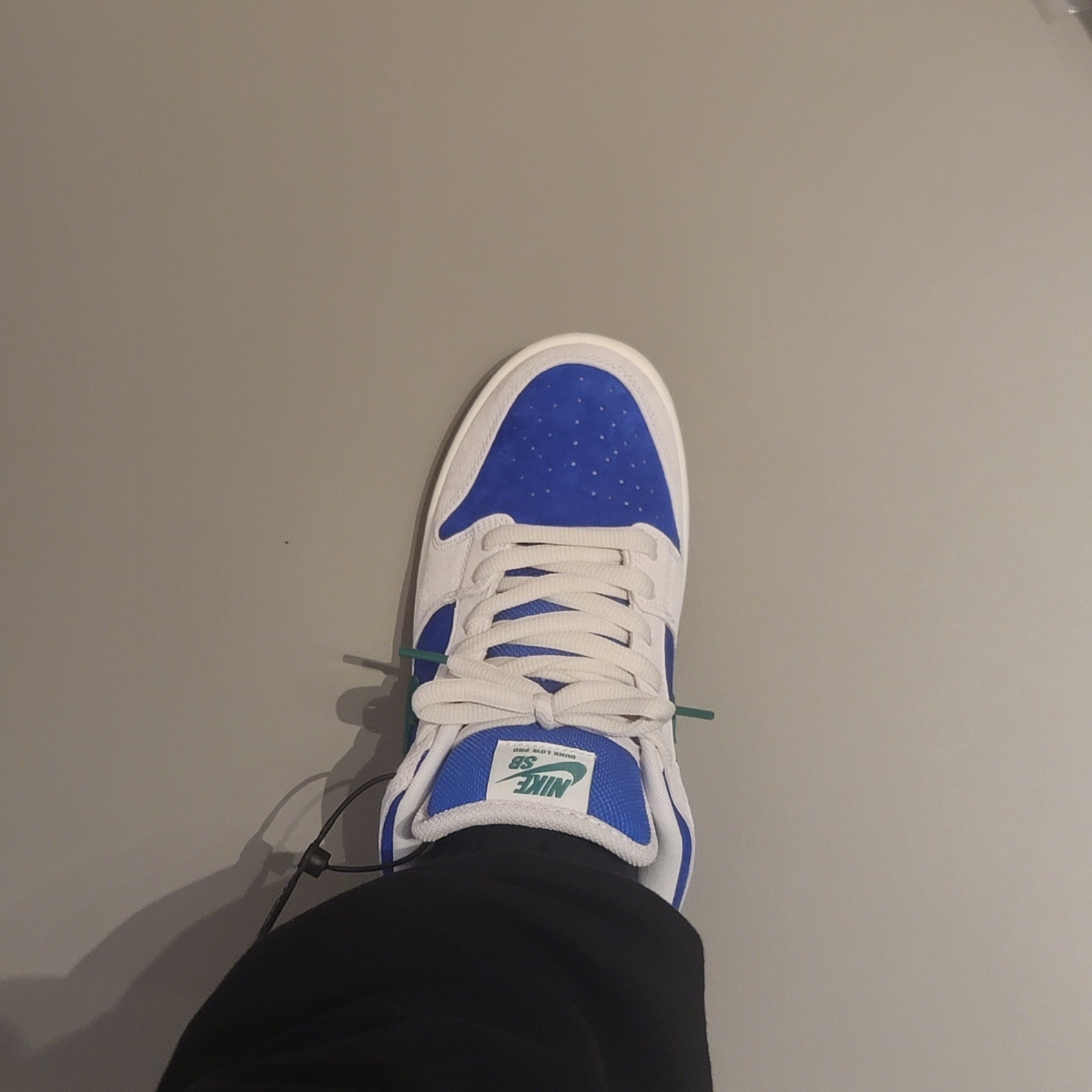 Nike SB Dunk Low Pro Phantom and Hyper Royal 착용 스타일