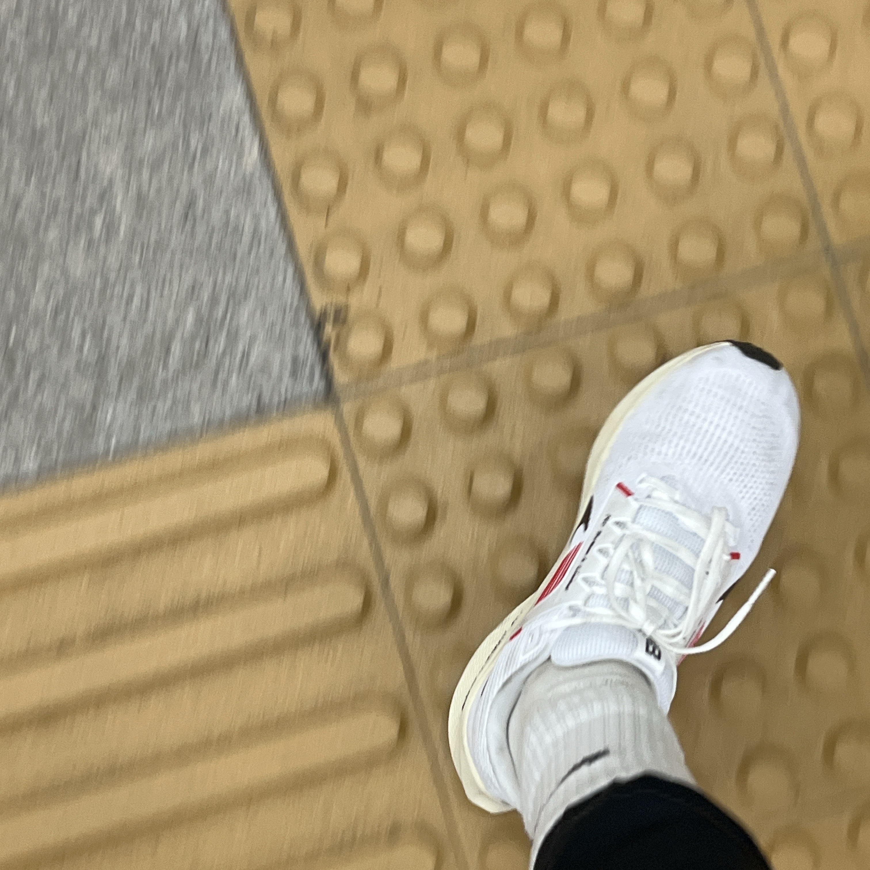 Nike Air Zoom Pegasus 40 Eliud Kipchoge 착용 스타일