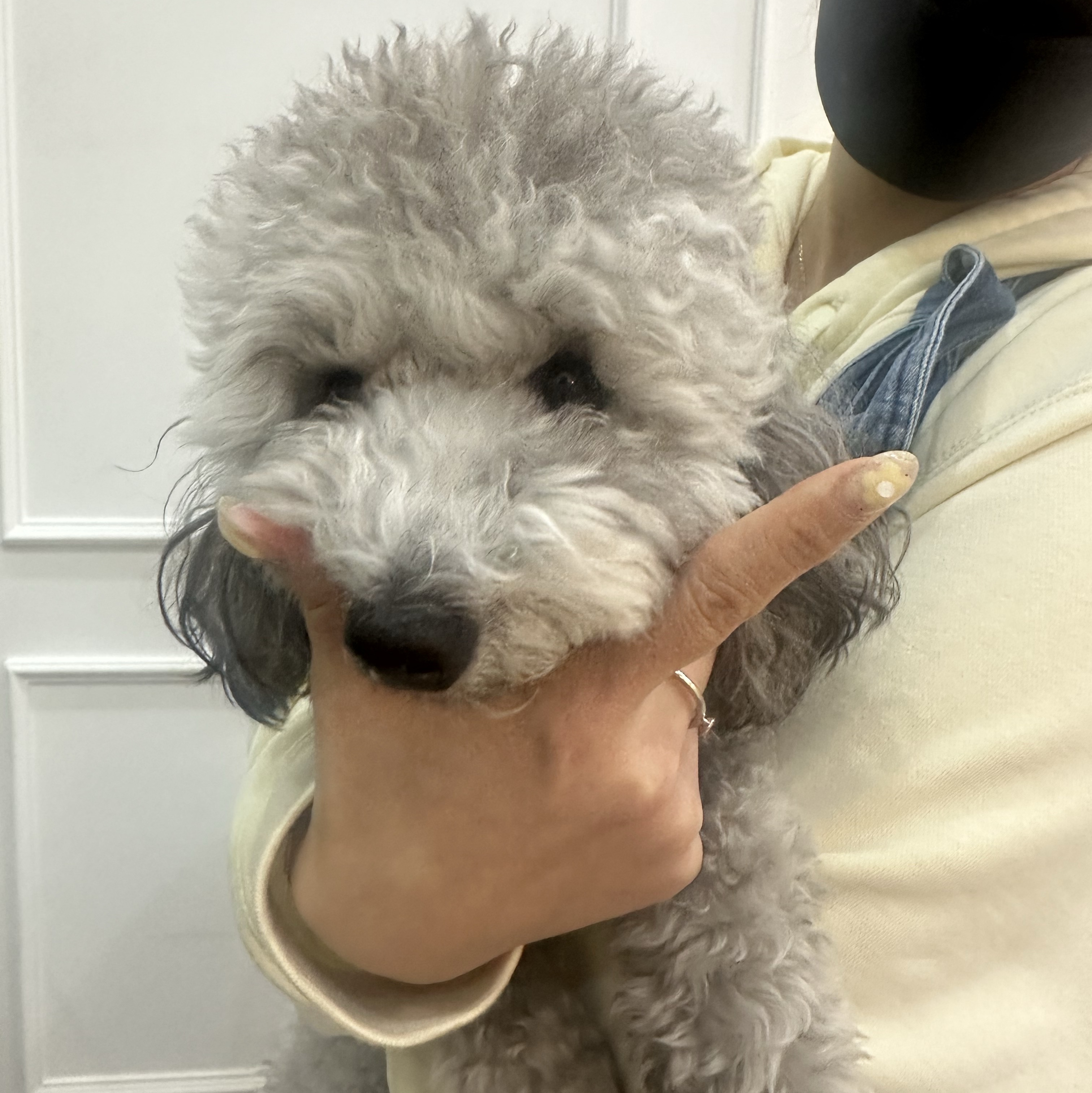 정작가님의 스타일