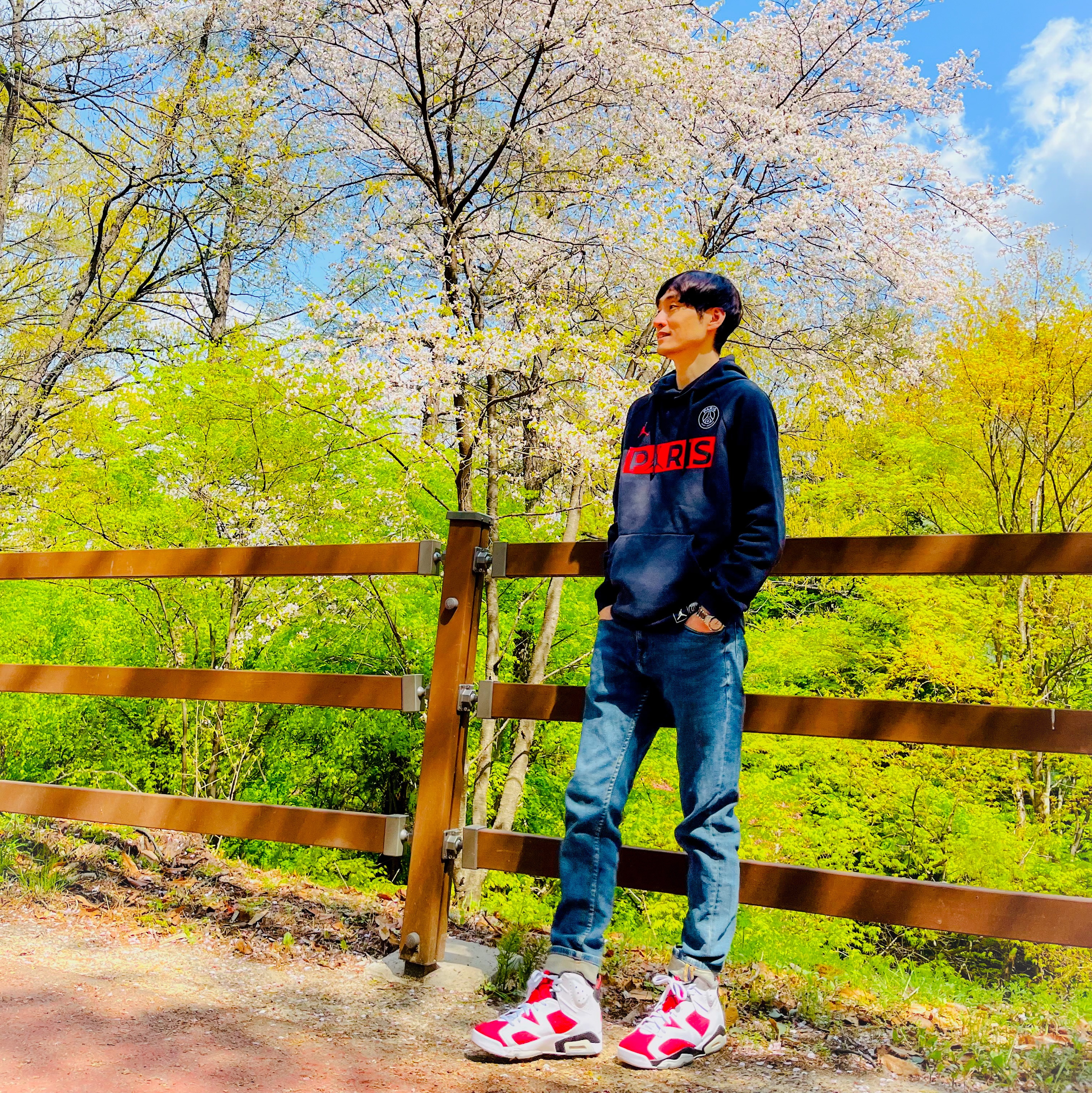 Jordan 6 Retro Carmine 2021, Jordan x Paris Saint-Germain Wordmark Fleece Pullover Hoodie Black - US/EU 착용 스타일