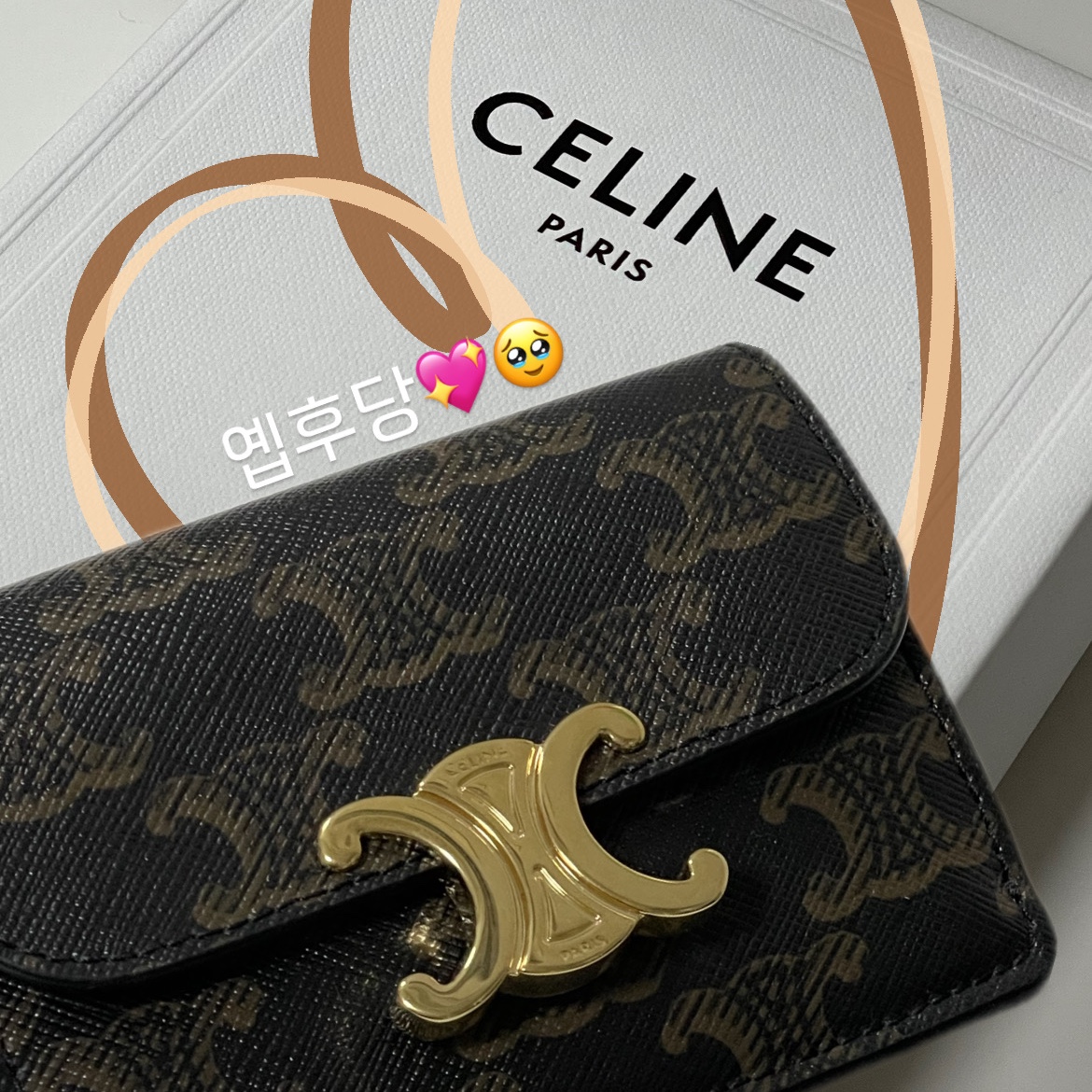 Celine Card Holder with Flap in Triomphe Canvas Tan 착용 스타일