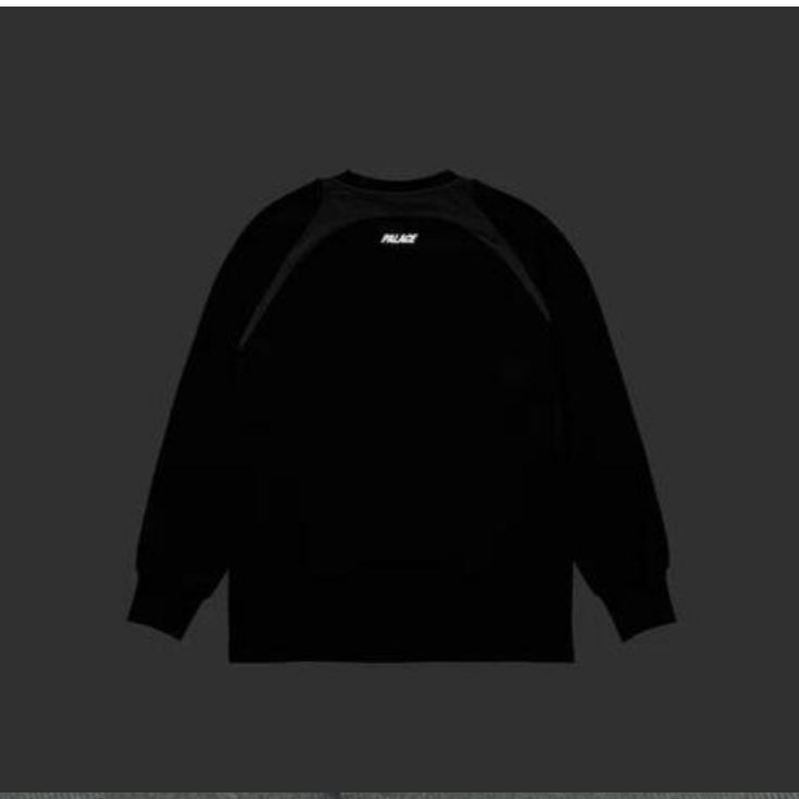 Palace Trail Runner Long Sleeve Black - 24SS 착용 스타일 - 2