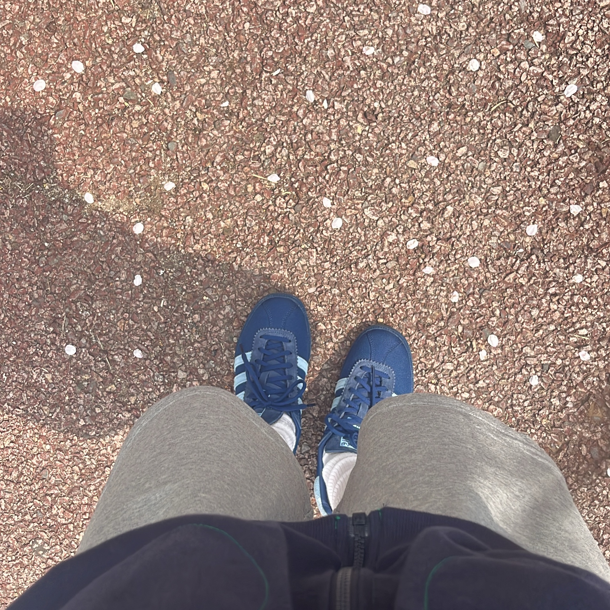Adidas Bermuda Mystery Blue 착용 스타일