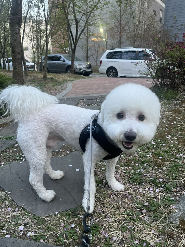 관심 유저 프로필 이미지