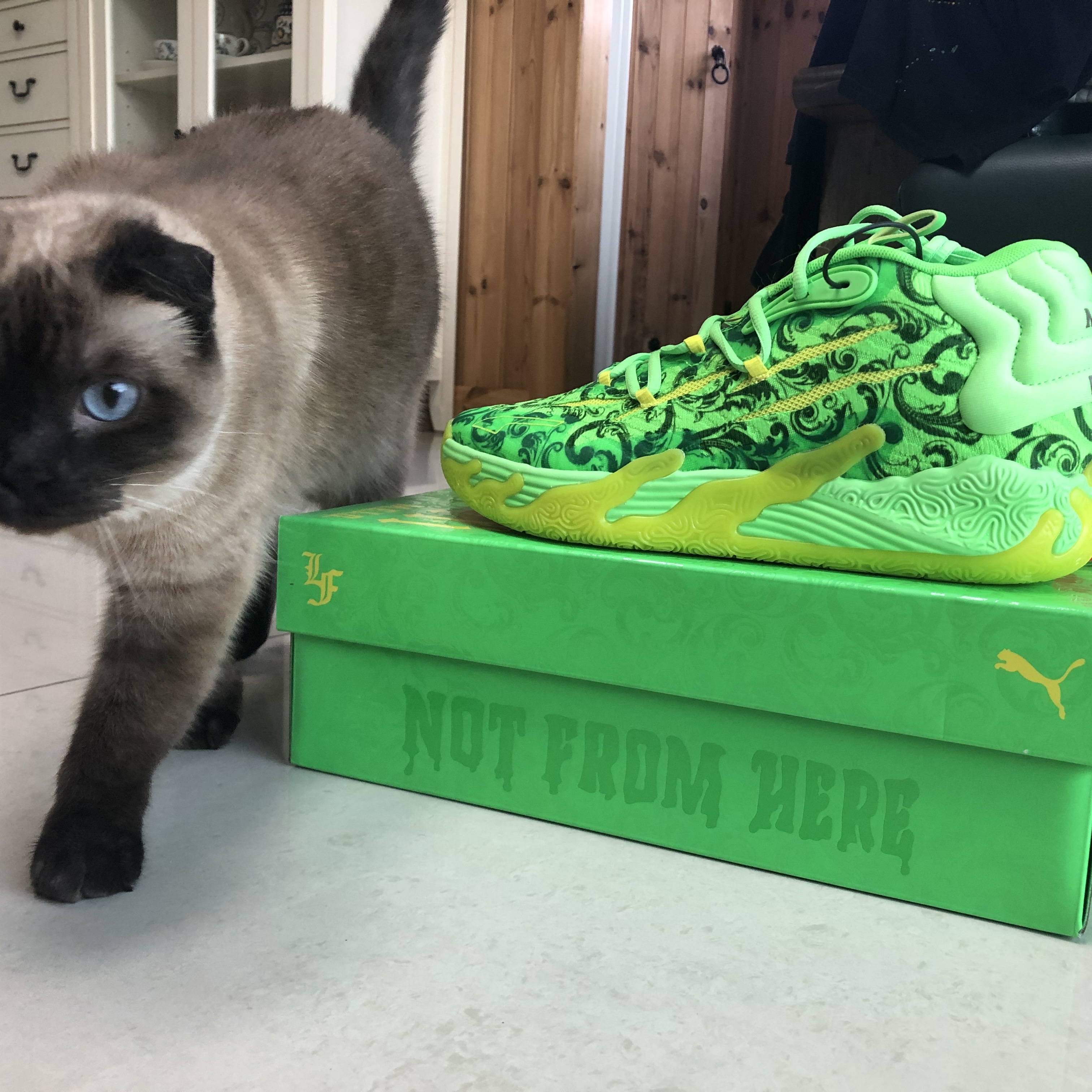Puma MB.03 Lamelo Ball Fluro Green Fluro Yellow 착용 스타일