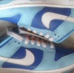 Nike Dunk Low Retro QS Argon 착용 스타일