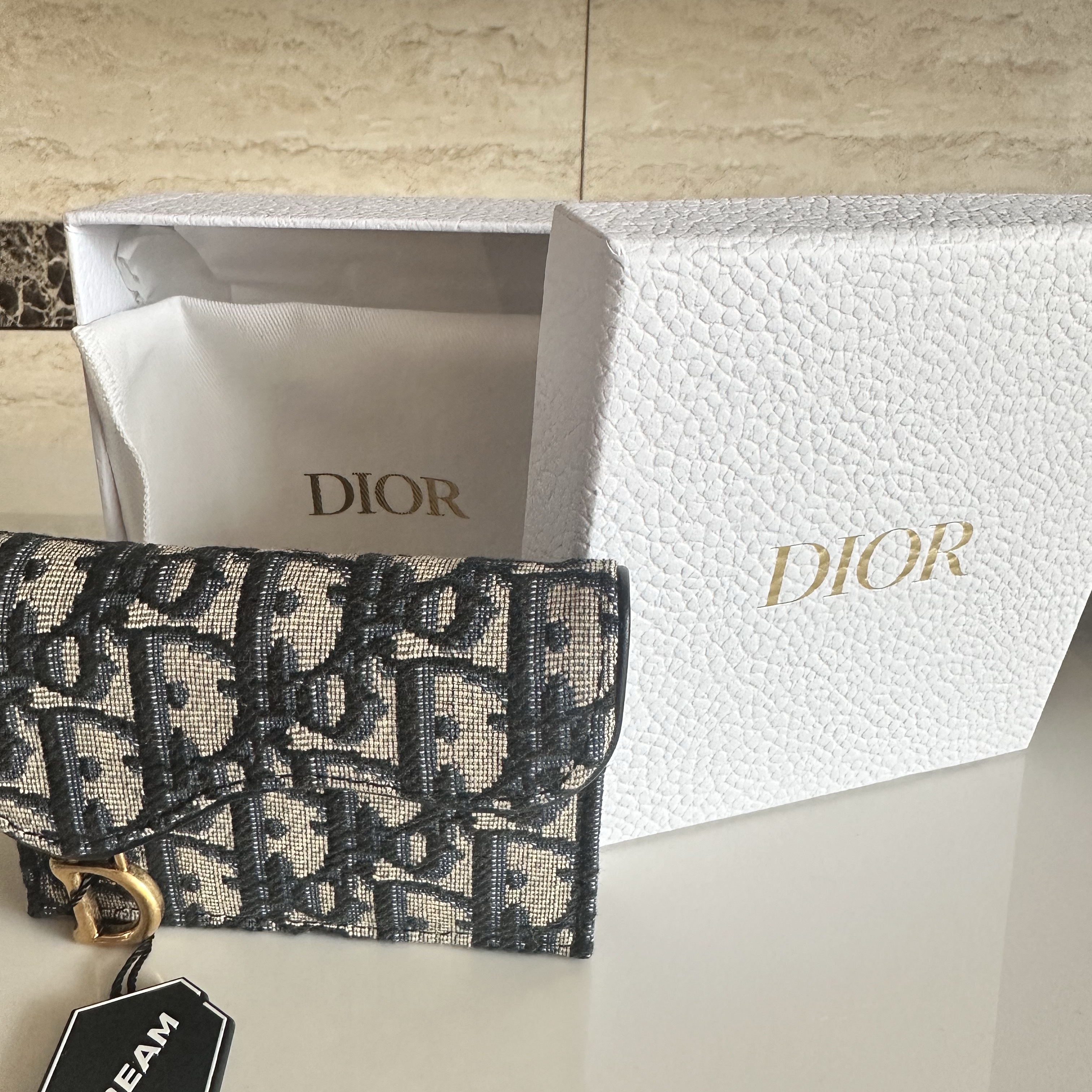 Dior Saddle Flap Card Holder Blue Dior Oblique Jacquard 착용 스타일