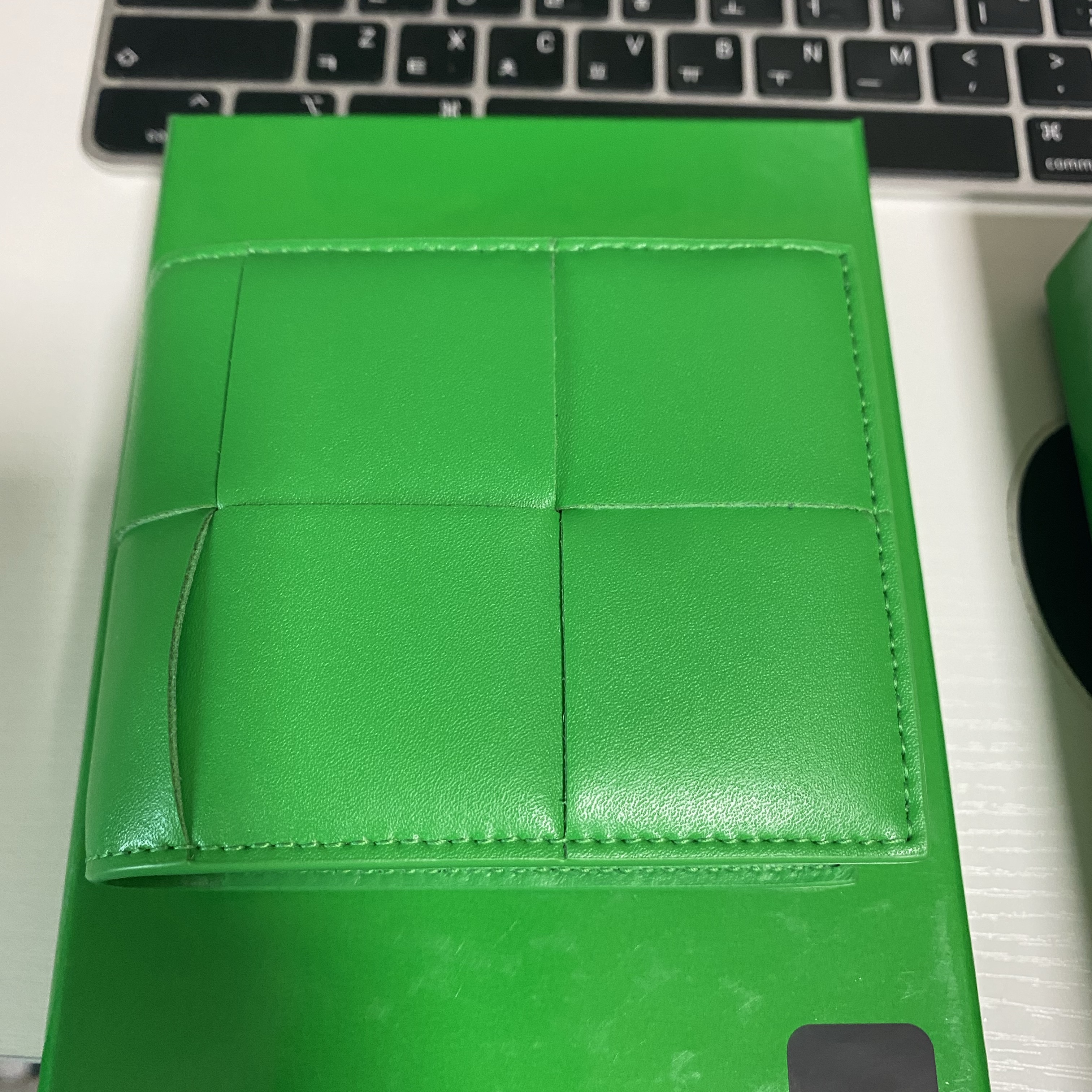 Bottega Veneta Bi-Fold Wallet with Coin Purse Parakeet 착용 스타일 - 2