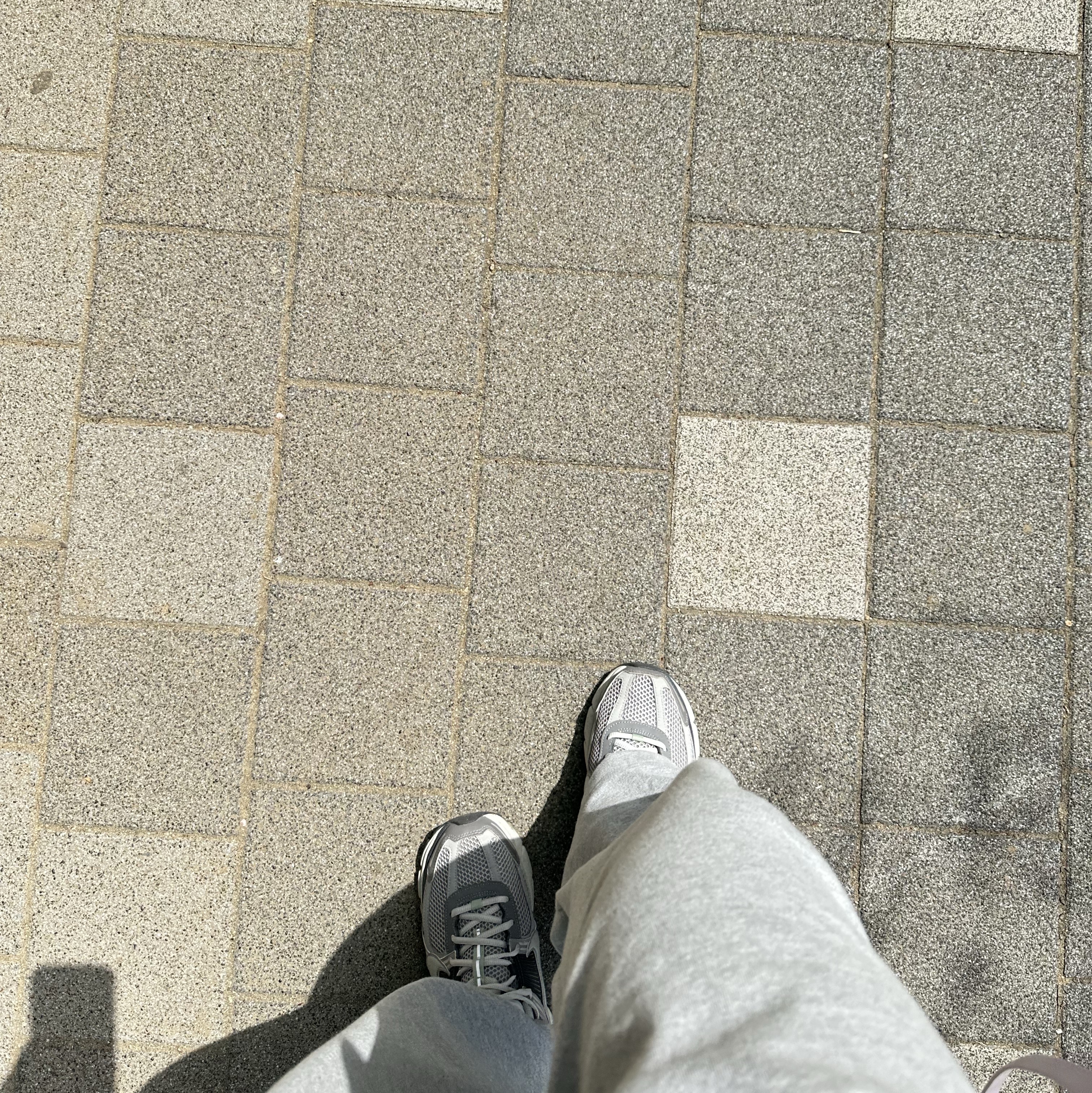 (W) Nike Zoom Vomero 5 Cobblestone and Flat Pewter 착용 스타일