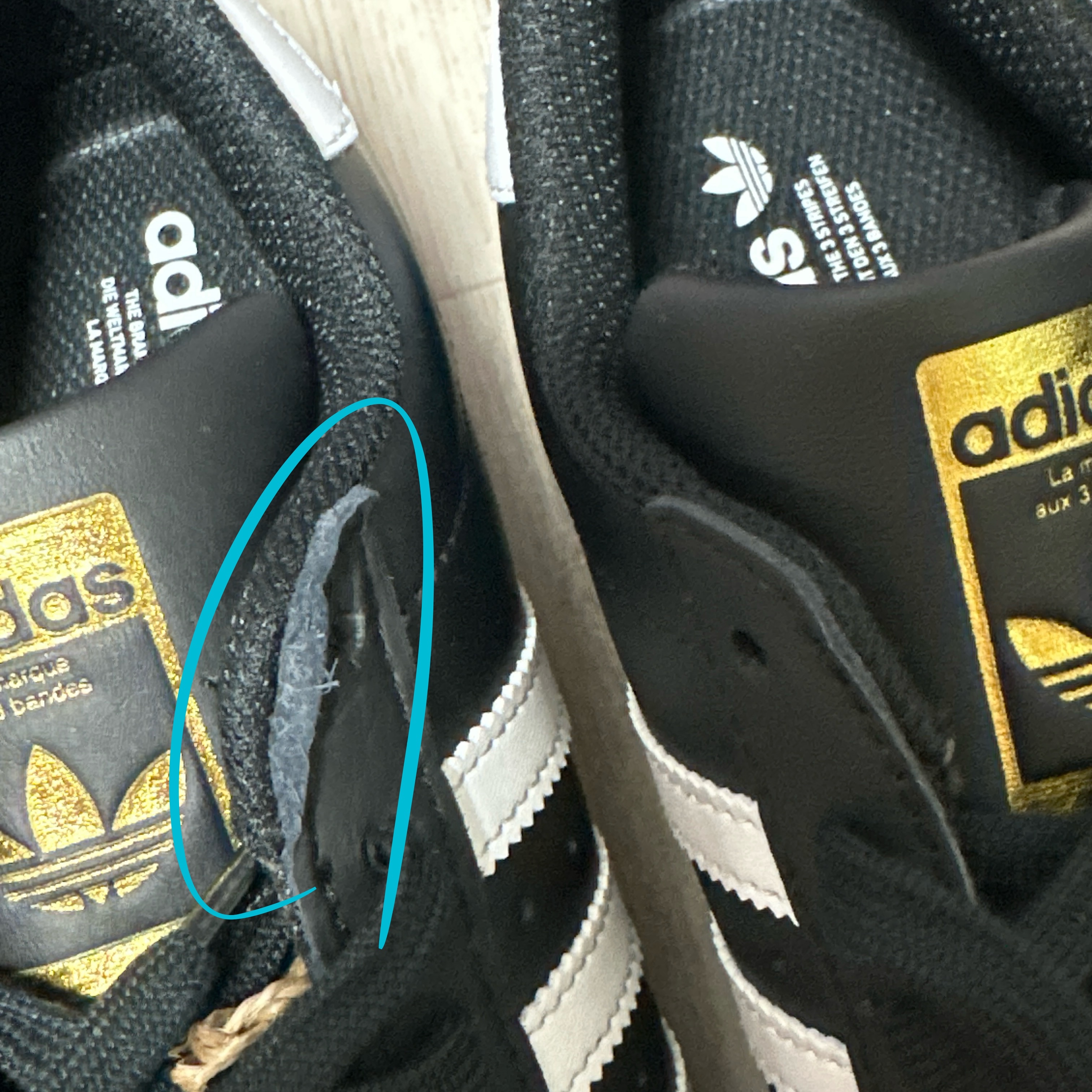 (J) Adidas Superstar Black White 착용 스타일