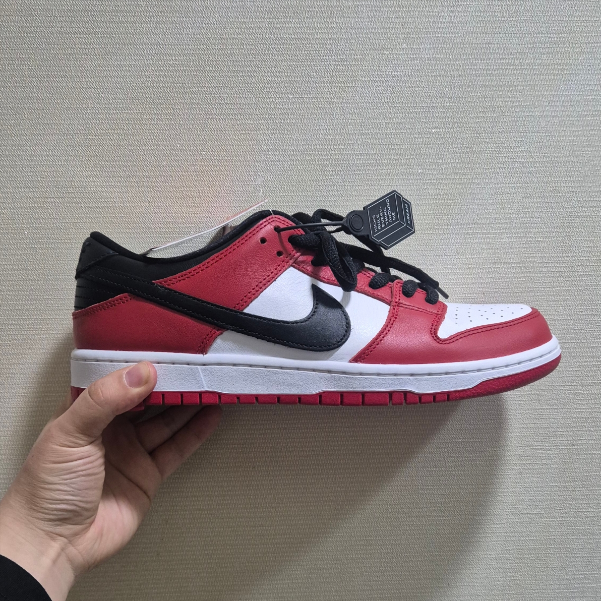 Nike SB Dunk Low Pro Chicago 착용 스타일