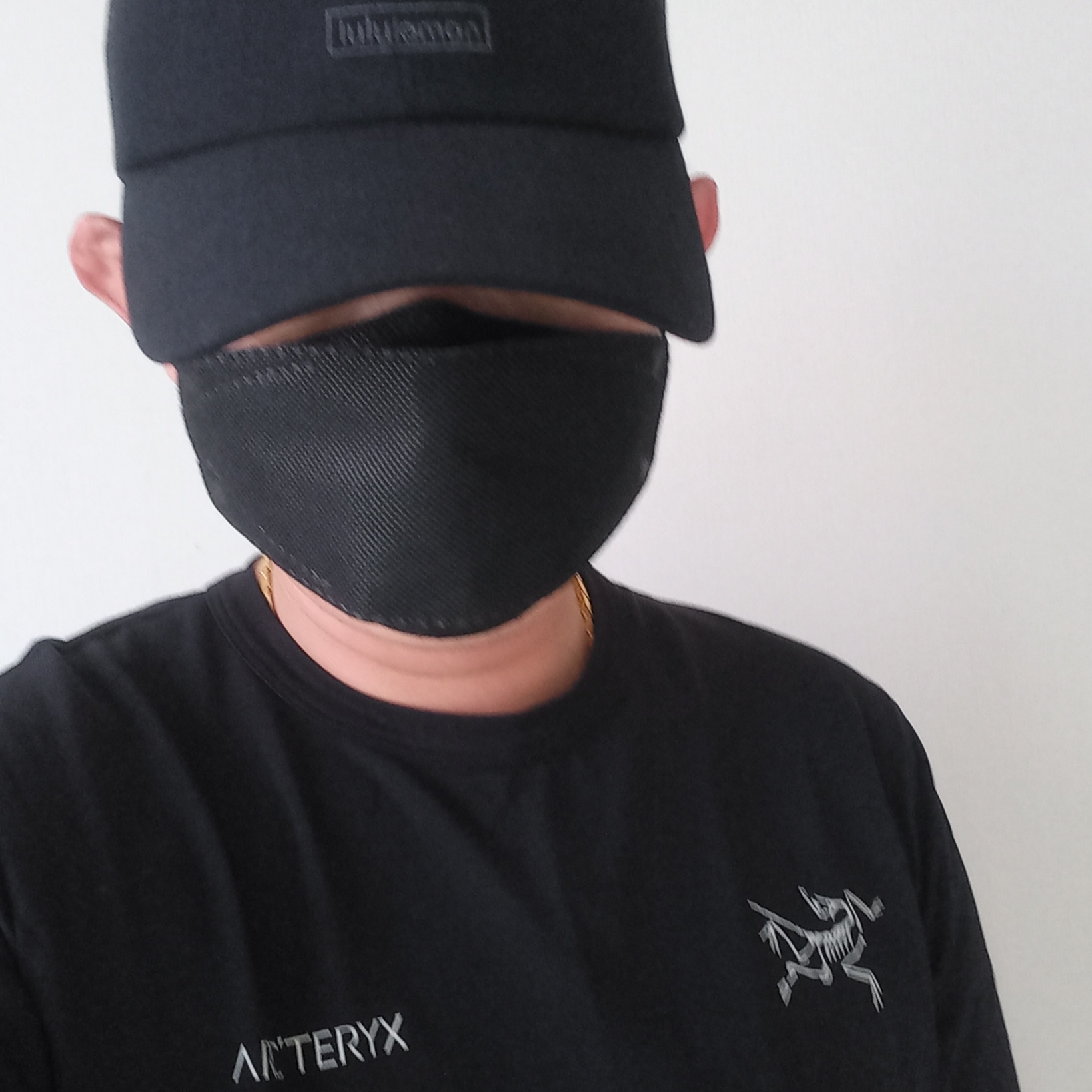 Arc'teryx Captive Split T-Shirt Black, Arc'teryx Gamma Lightweight Pants Black 착용 스타일 - 2