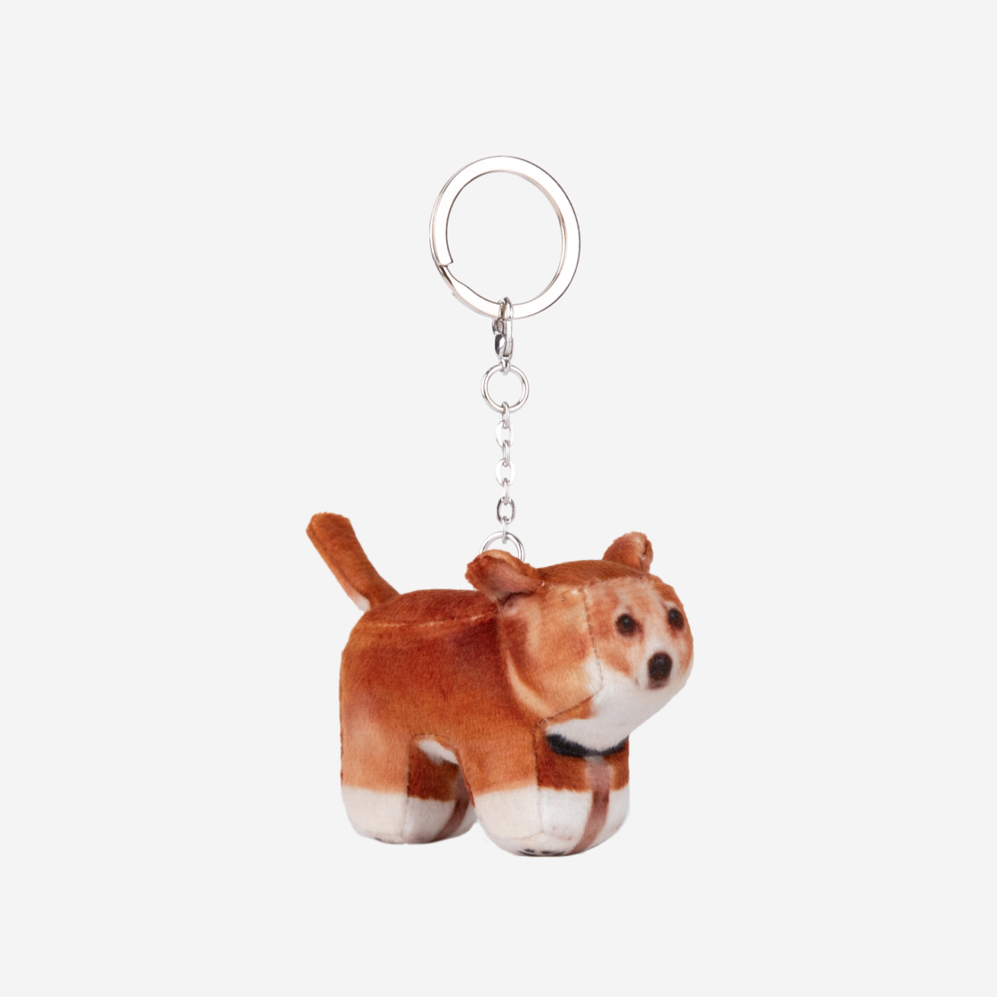 【SOFT THUMBNAIL】 Pippin, Chihuahua Pippin, Chihuahua - SOFT THUMBNAIL | 60% - Asian Fashion
