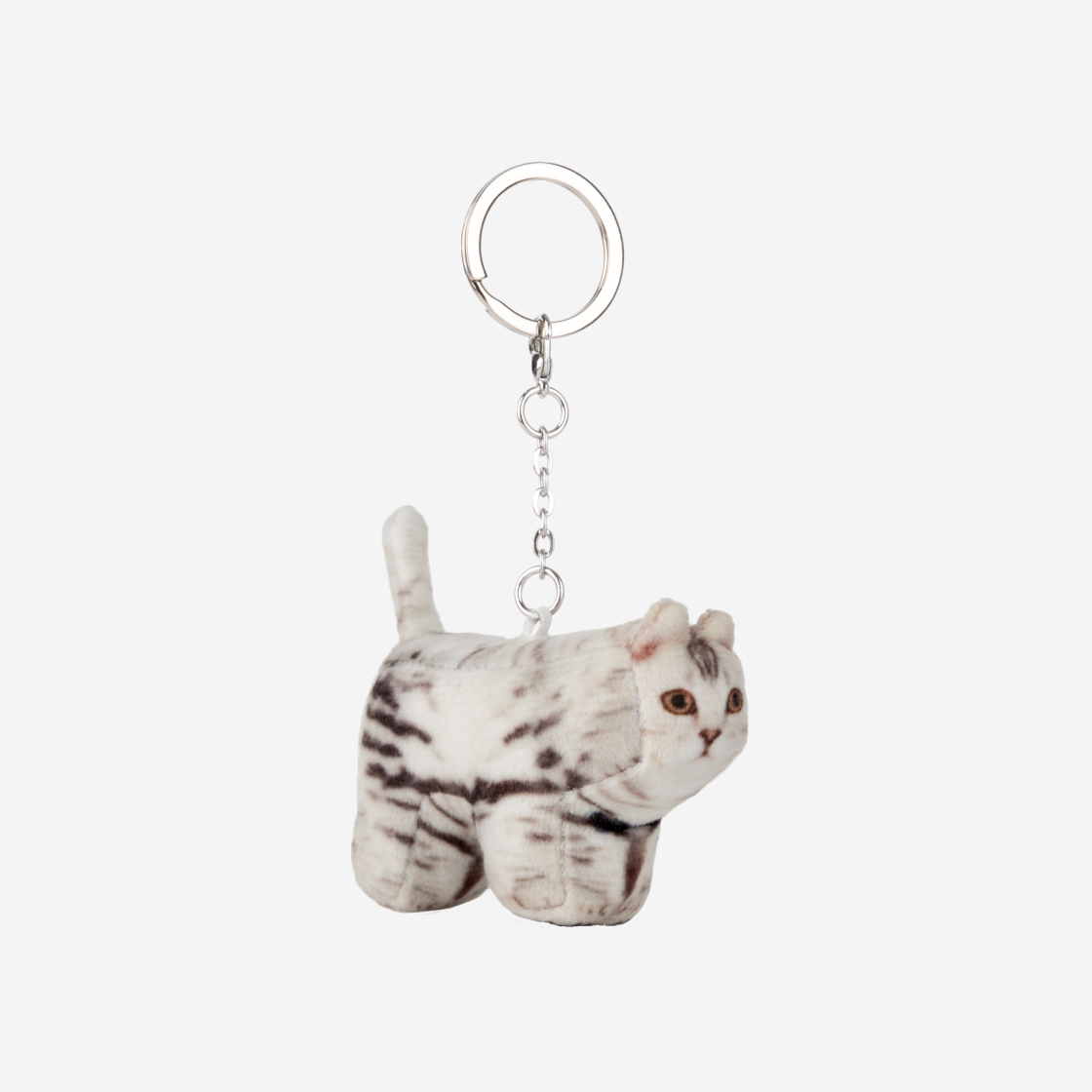 【SOFT THUMBNAIL】 Pippin, Chihuahua Pippin, Chihuahua - SOFT THUMBNAIL | 60% - Asian Fashion