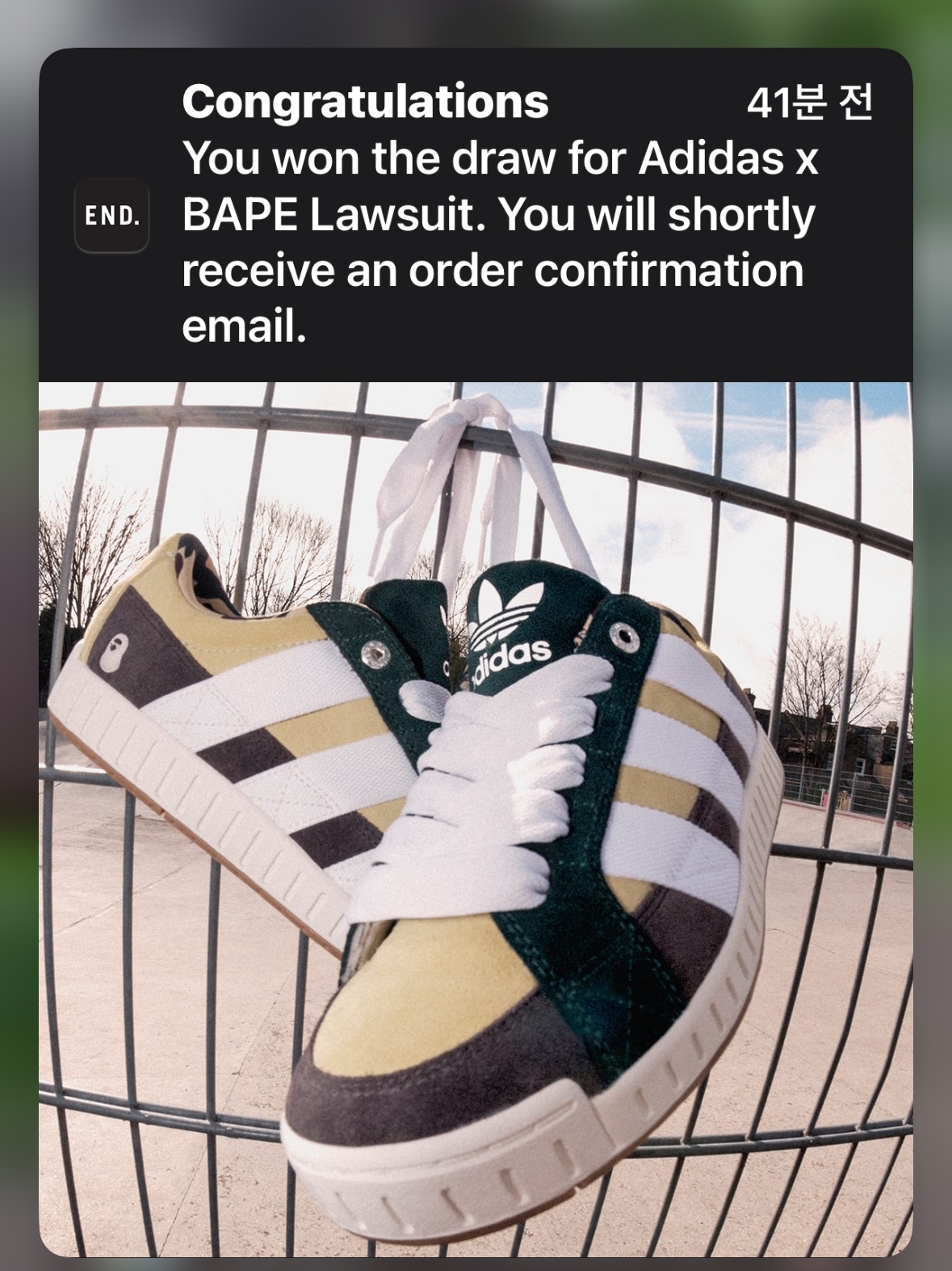 Adidas X BAPE Lawsuit Sand Cloud White, Adidas x BAPE Lawsuit Shadow Green Cloud White 착용 스타일 - 3