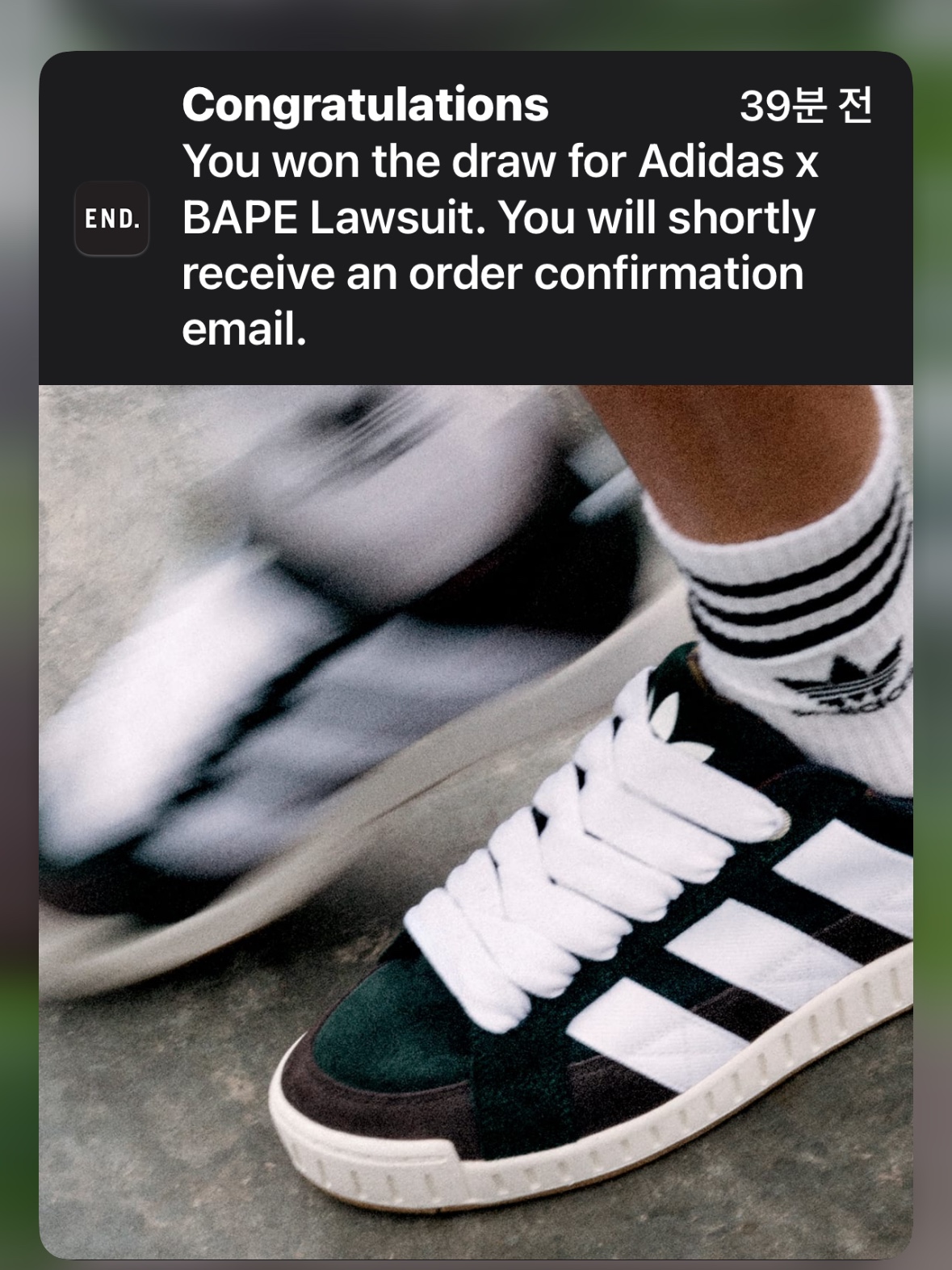 Adidas X BAPE Lawsuit Sand Cloud White, Adidas x BAPE Lawsuit Shadow Green Cloud White 착용 스타일 - 4