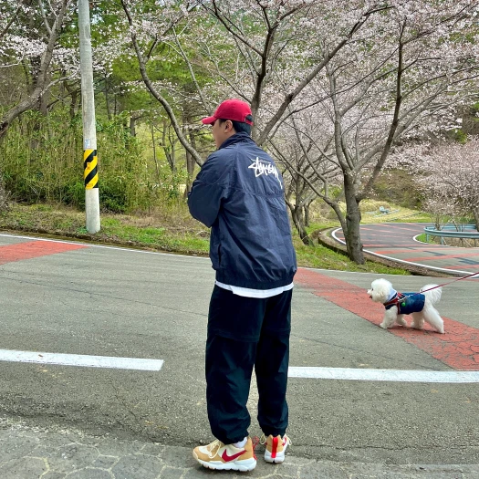 스타일 카드