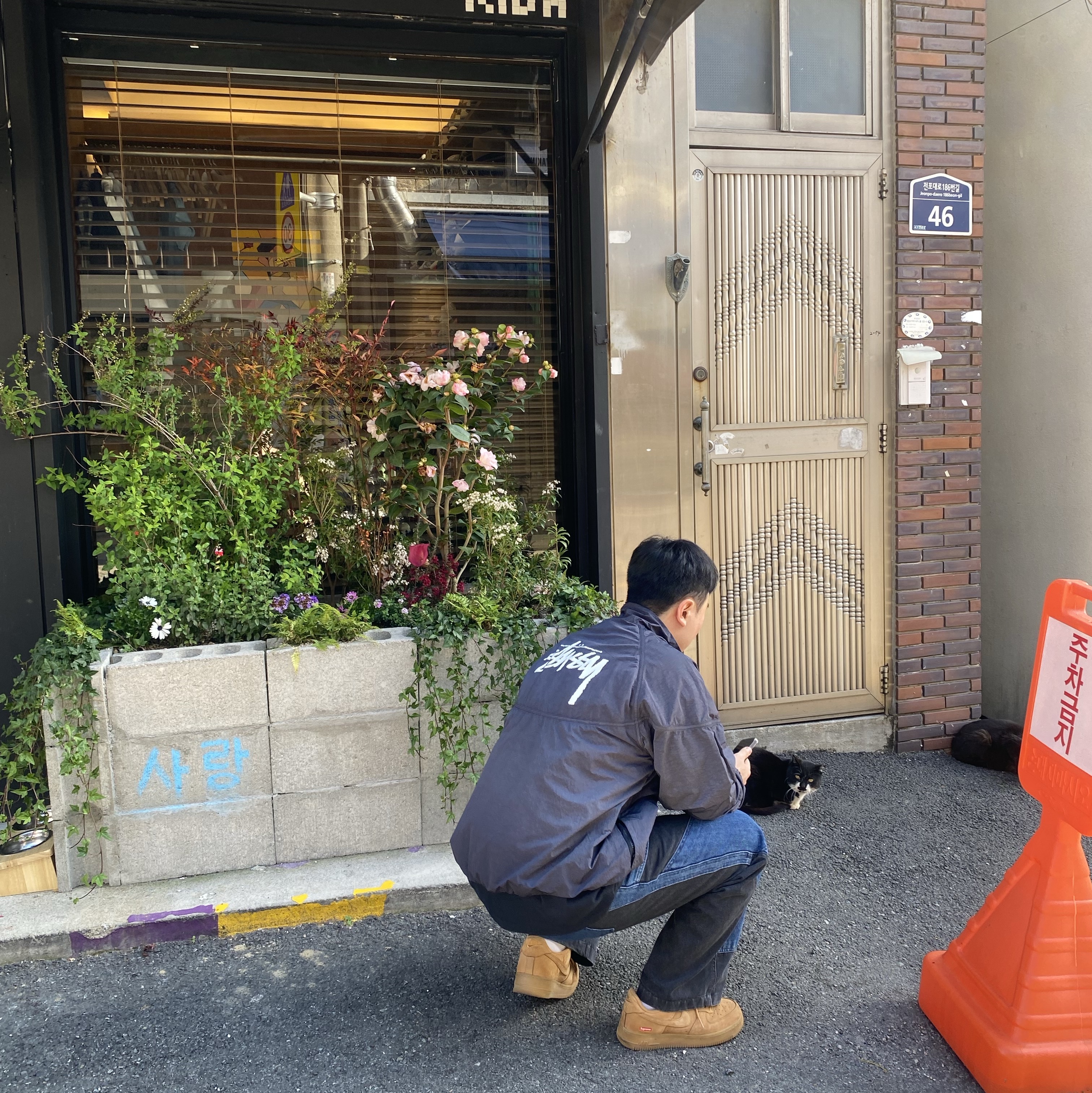 Nike x Stussy Windrunner Jacket Off Noir, Nike x Supreme Air Force 1 Low Flax 착용 스타일