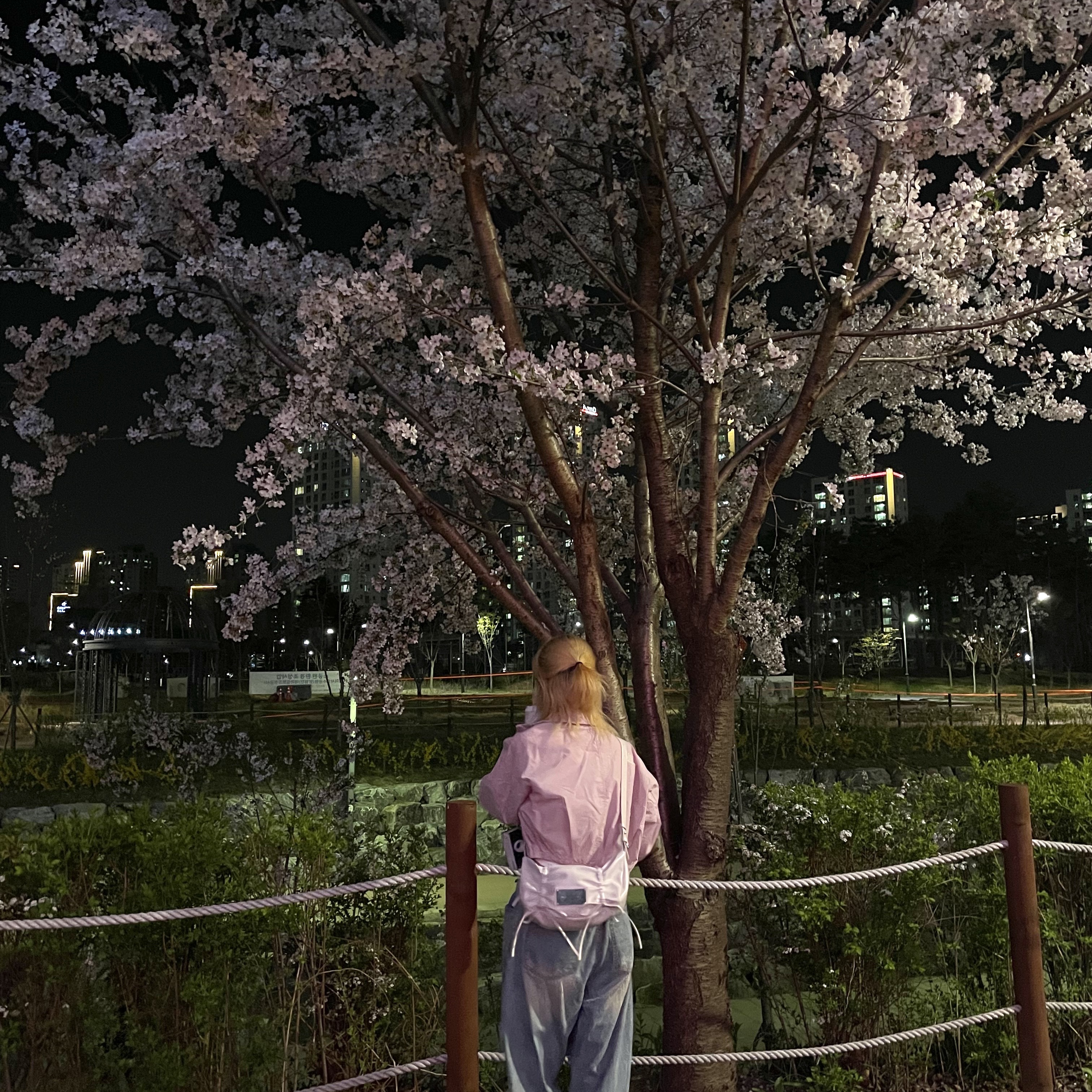 Matin Kim Half Shirring Ribbon Round Bag Ivory 착용 스타일