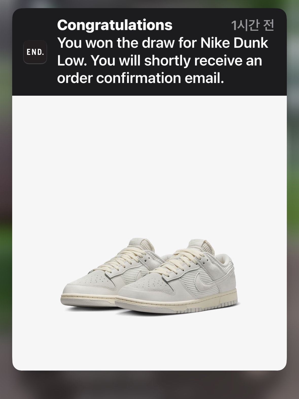 Nike Dunk Low Phantom Light Bone 착용 스타일 - 4