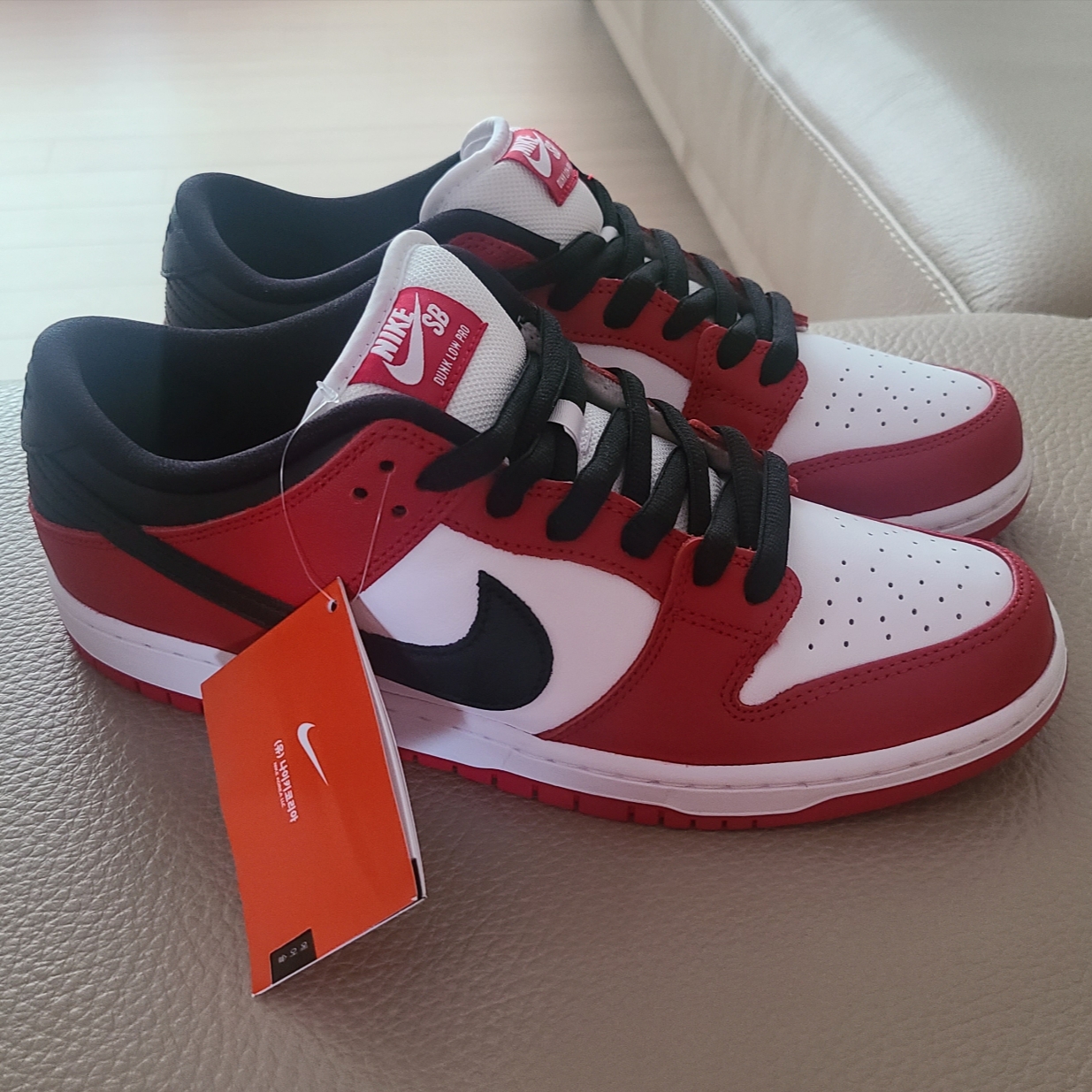 Nike SB Dunk Low Pro Chicago 착용 스타일