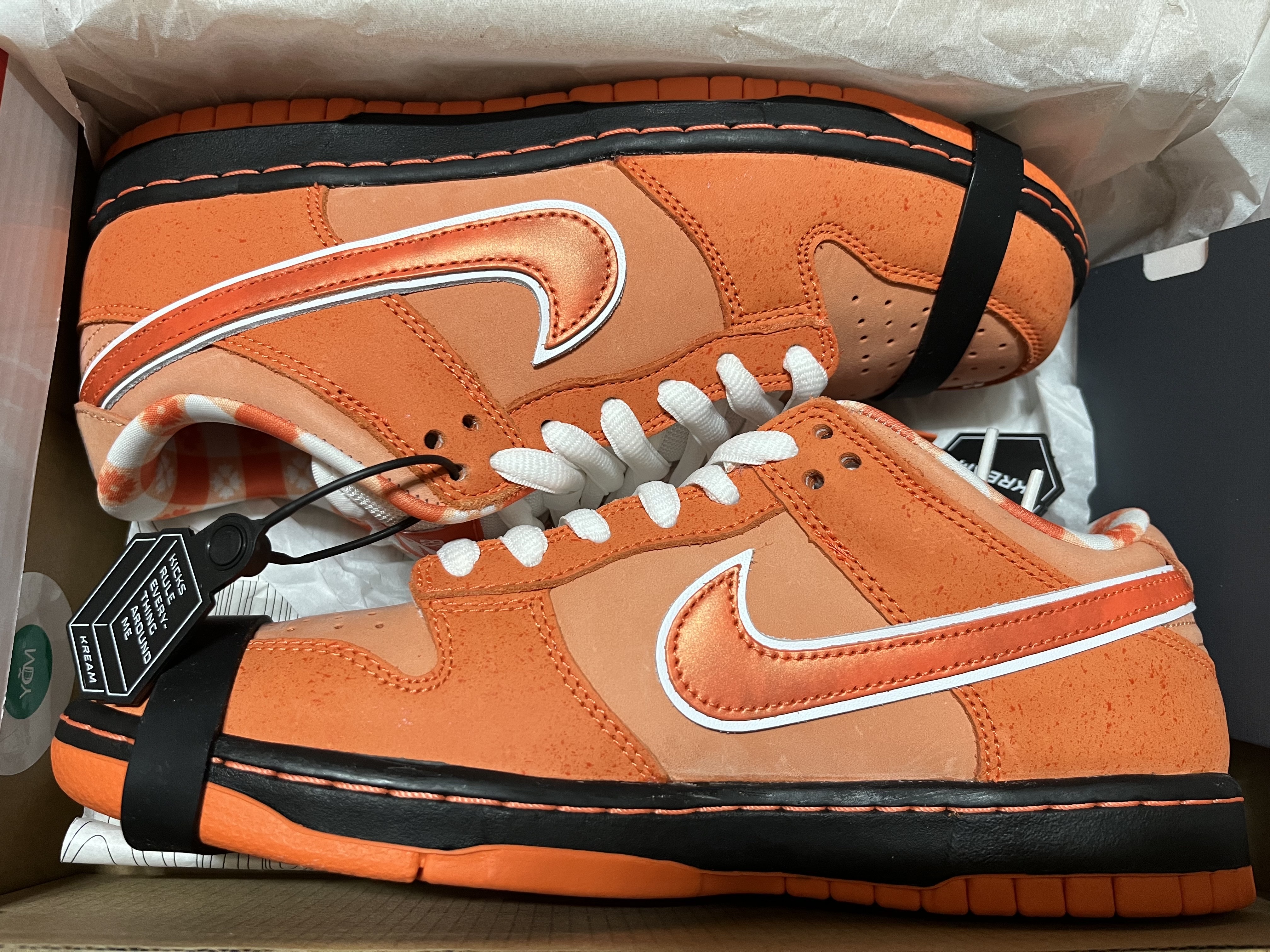 Nike x Concepts SB Dunk Low Orange Lobster (Regular Box) 착용 스타일