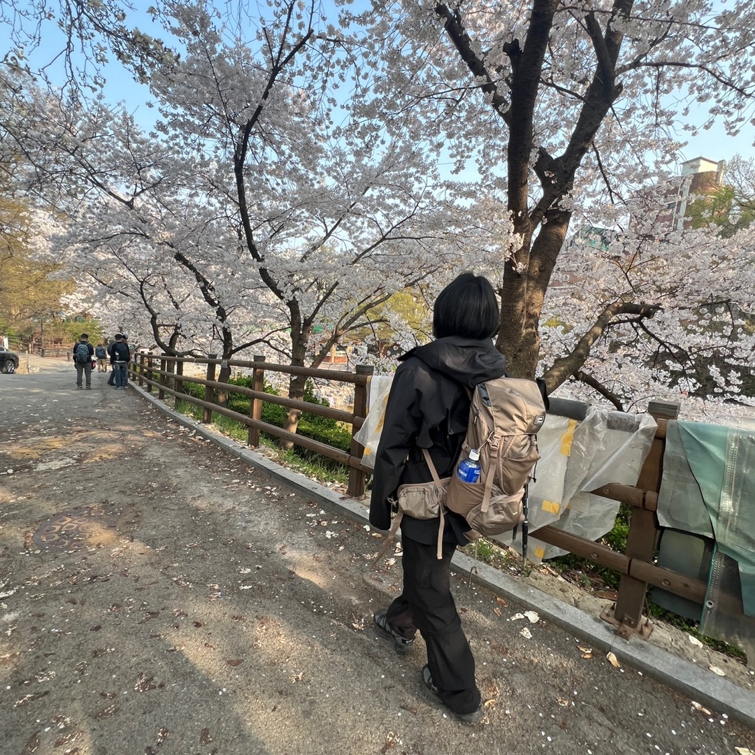 Arc'teryx Beta LT Jacket Black, Nike ACG Mountain Fly Low Gore-Tex SE Dark Smoke Grey 착용 스타일 - 2