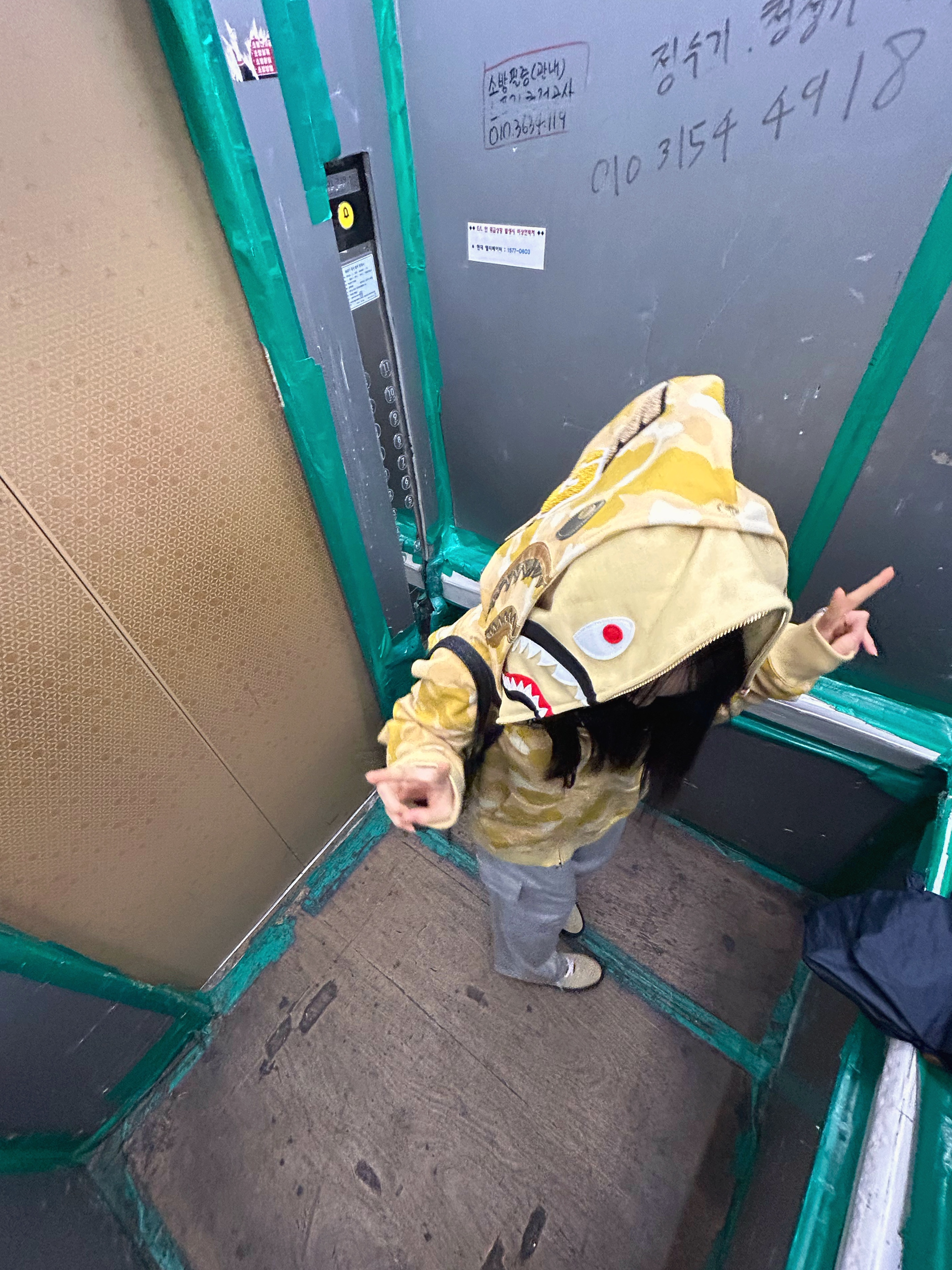 BAPE Color Camo Double Shark Full Zip Hoodie Misted yellow, Vans Skate Half Cab Pig Suede Green 착용 스타일 - 1