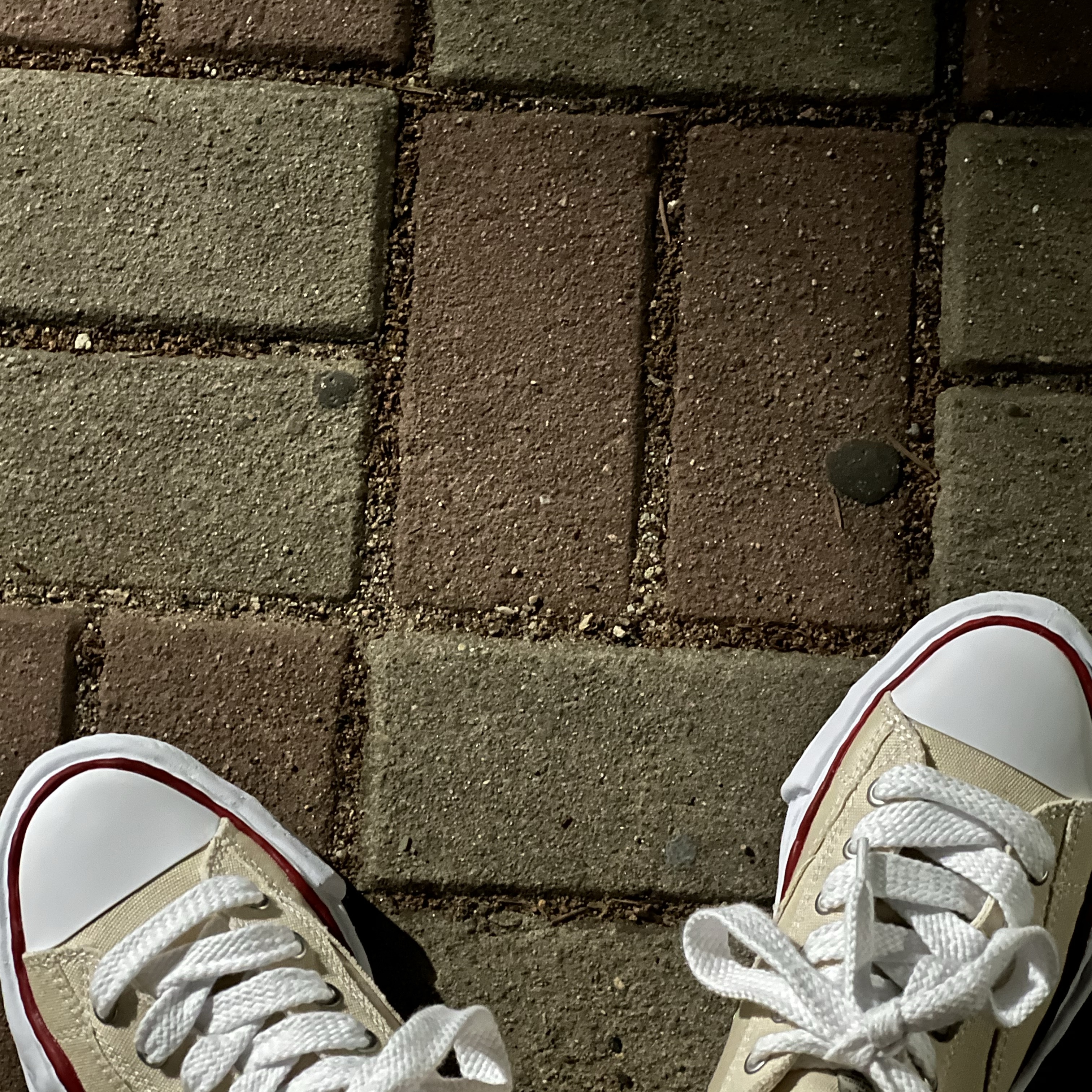 Maison Mihara Yasuhiro Peterson OG Sole Canvas Low-top Sneakers Natural 착용 스타일