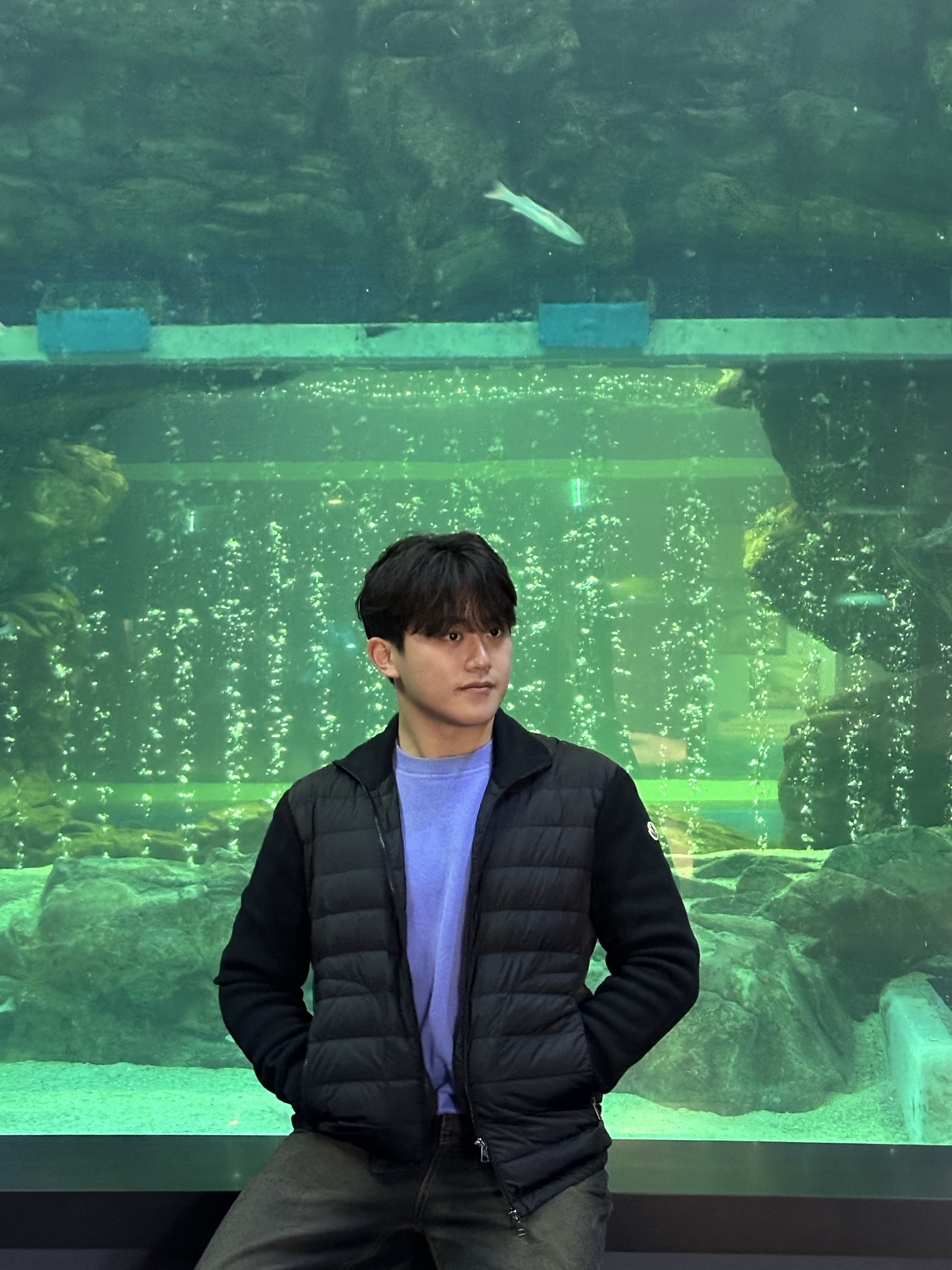 Moncler Padded Wool Cardigan Black - 23FW 착용 스타일