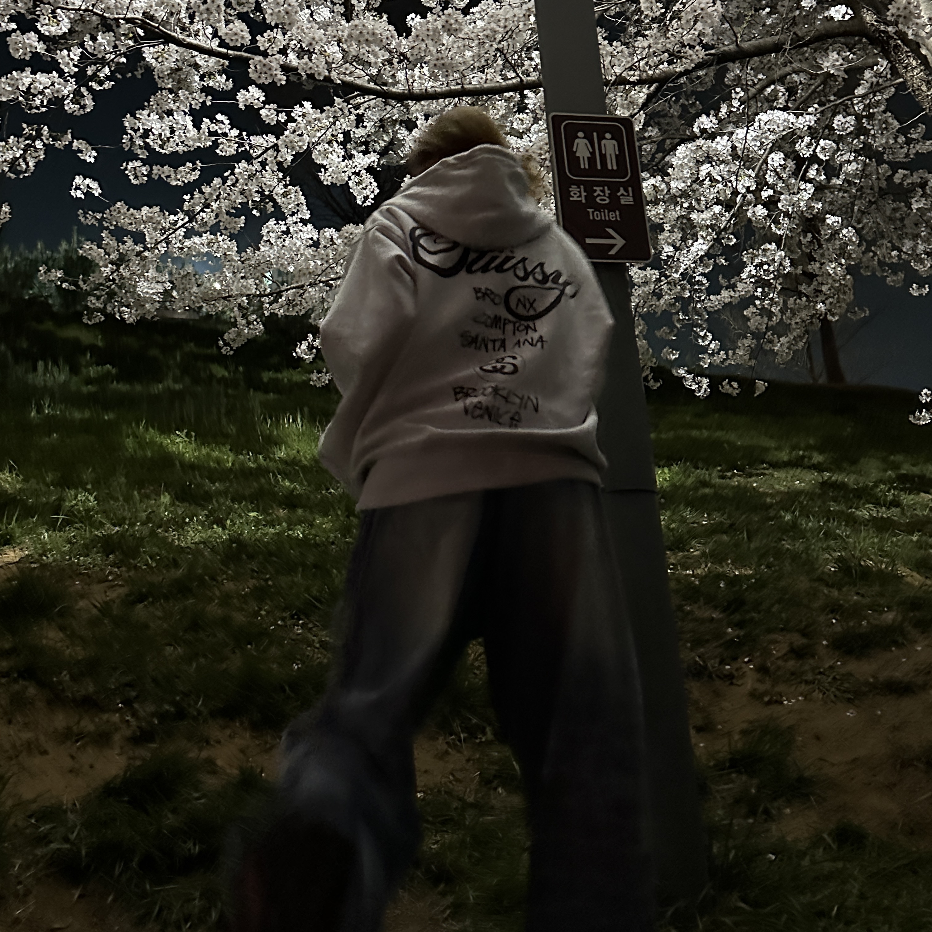Stussy World Tour Zip Hoodie Ash Heather 2023 착용 스타일 - 3
