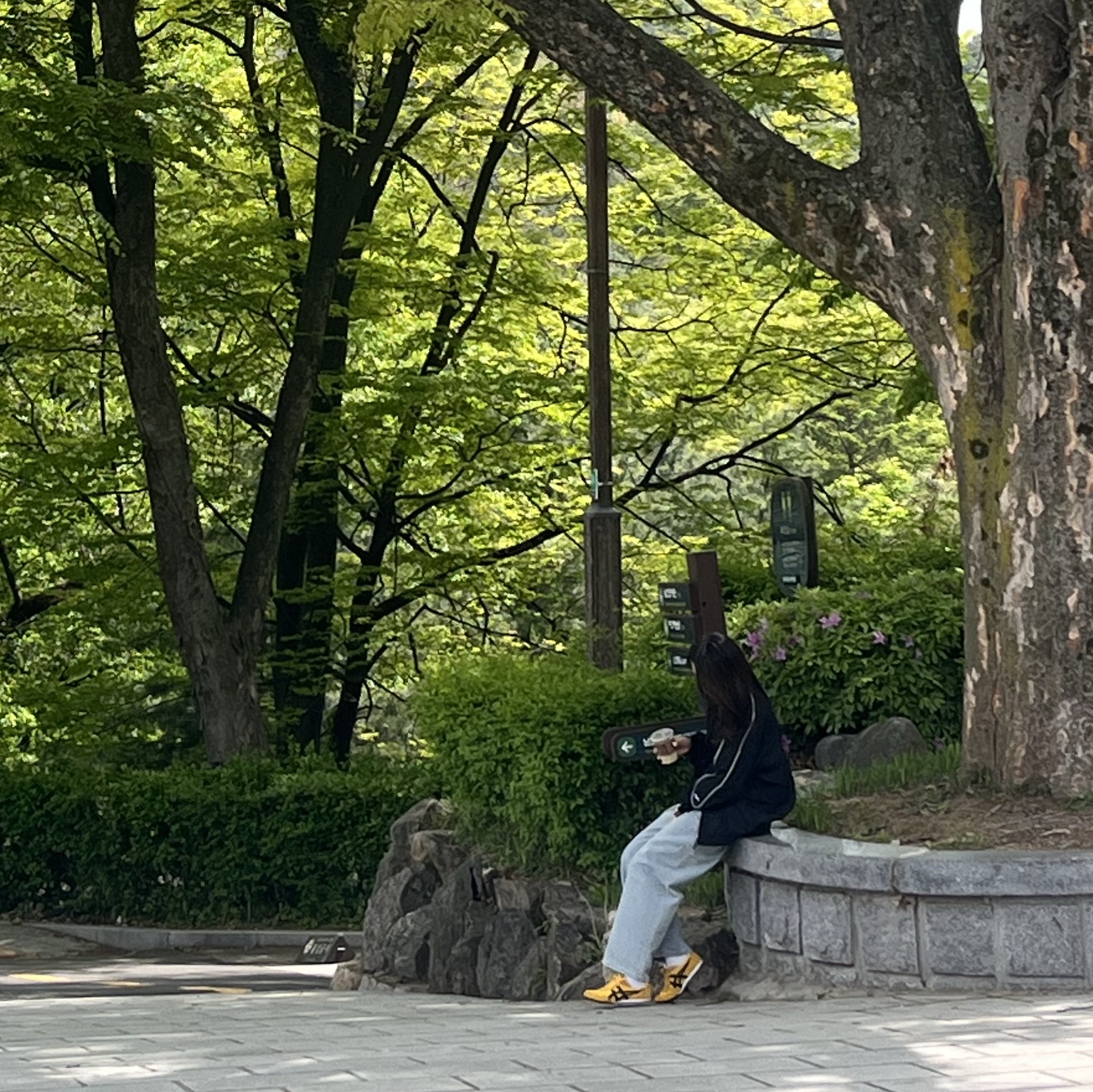 Onitsuka Tiger Mexico 66 Yellow Black, Nike NSW Solo Swoosh Woven Track Jacket Black - Asia 착용 스타일