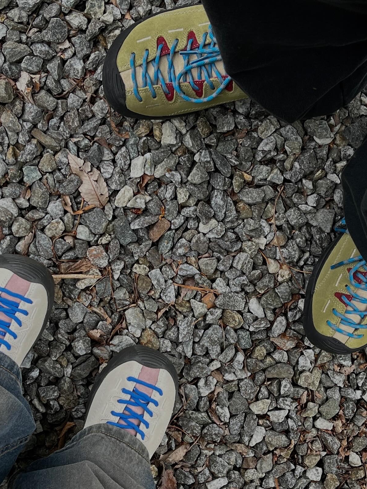 Keen Jasper Sneakers Khaki, (W) Keen Jasper Suede Sneakers Birch Fawn 착용 스타일