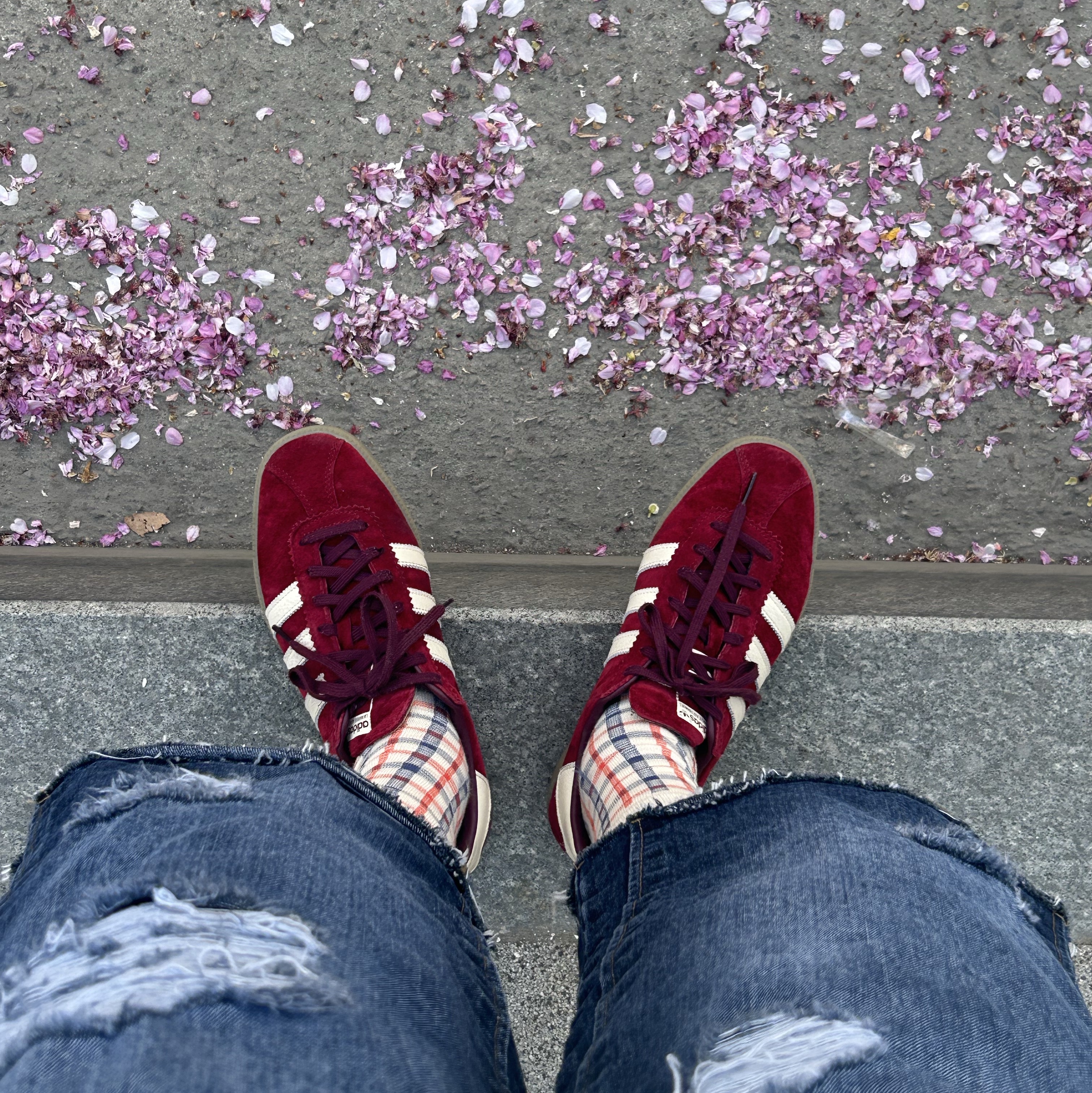 Adidas Bermuda College Burgundy 착용 스타일