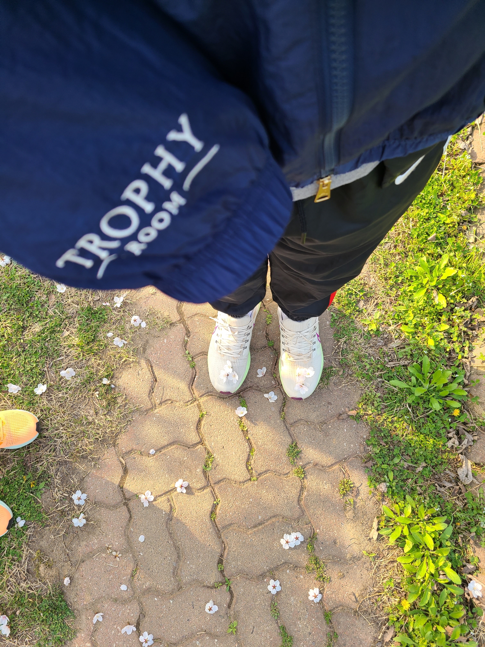 Jordan x Trophy Room Wooven Jacket Midnight Navy - US/EU, Nike Air Zoom Pegasus 39 Light Orewood Burn 착용 스타일 - 2