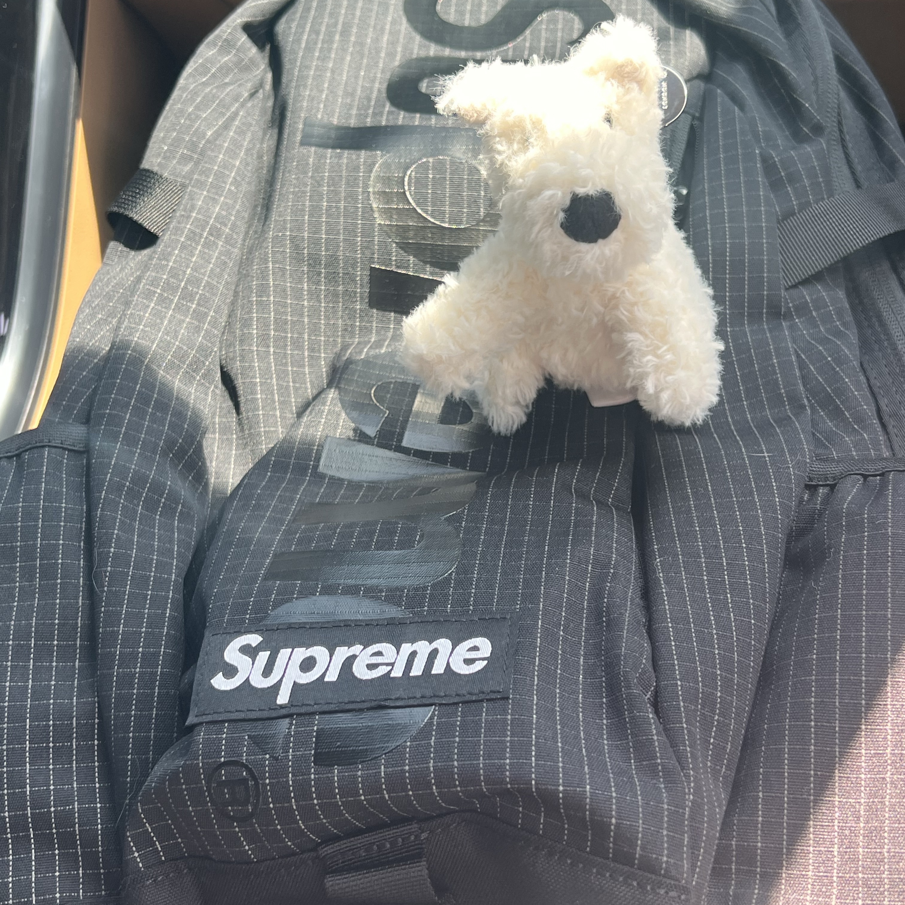 Supreme Backpack Black - 24SS 착용 스타일