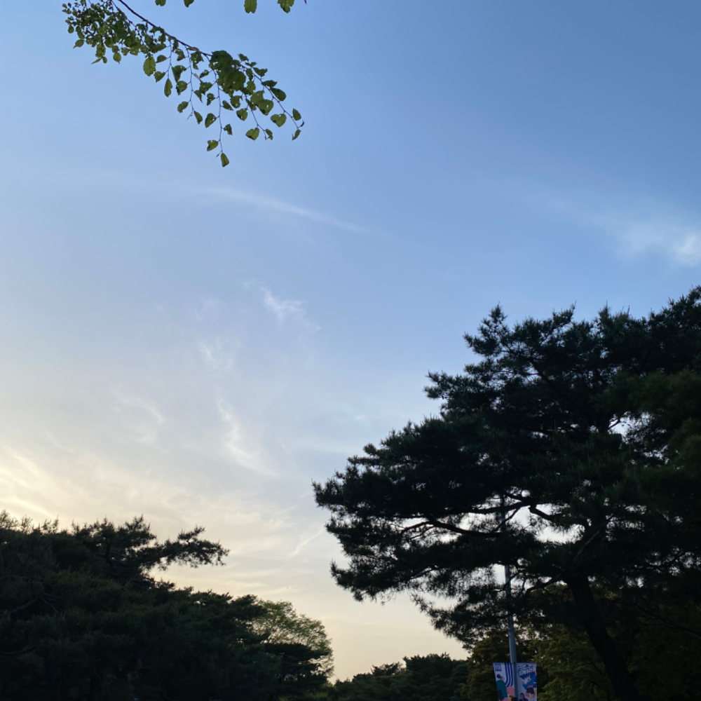 관심 유저 프로필 이미지