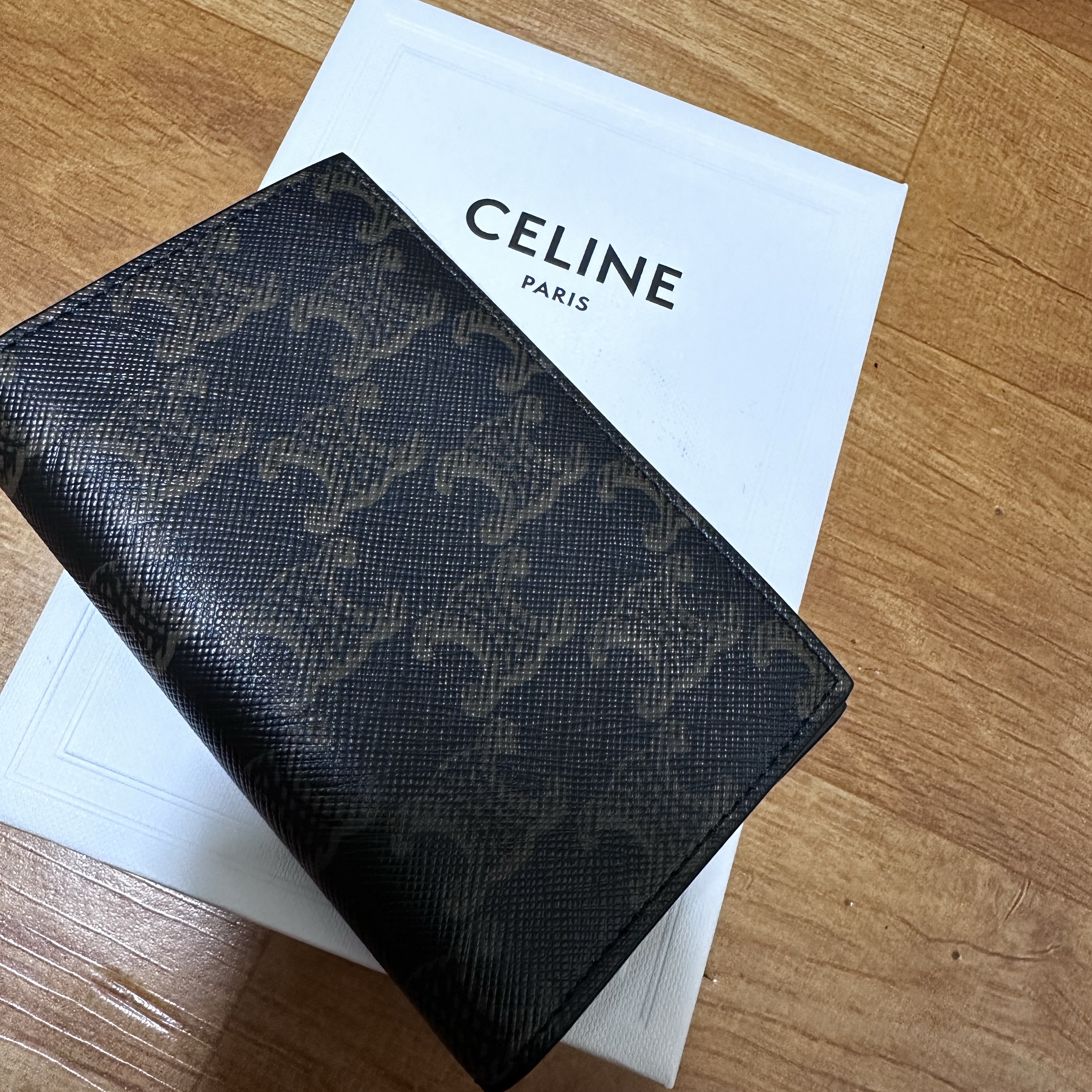 Celine Vertical Card Holder in Triomphe Canvas Black 착용 스타일