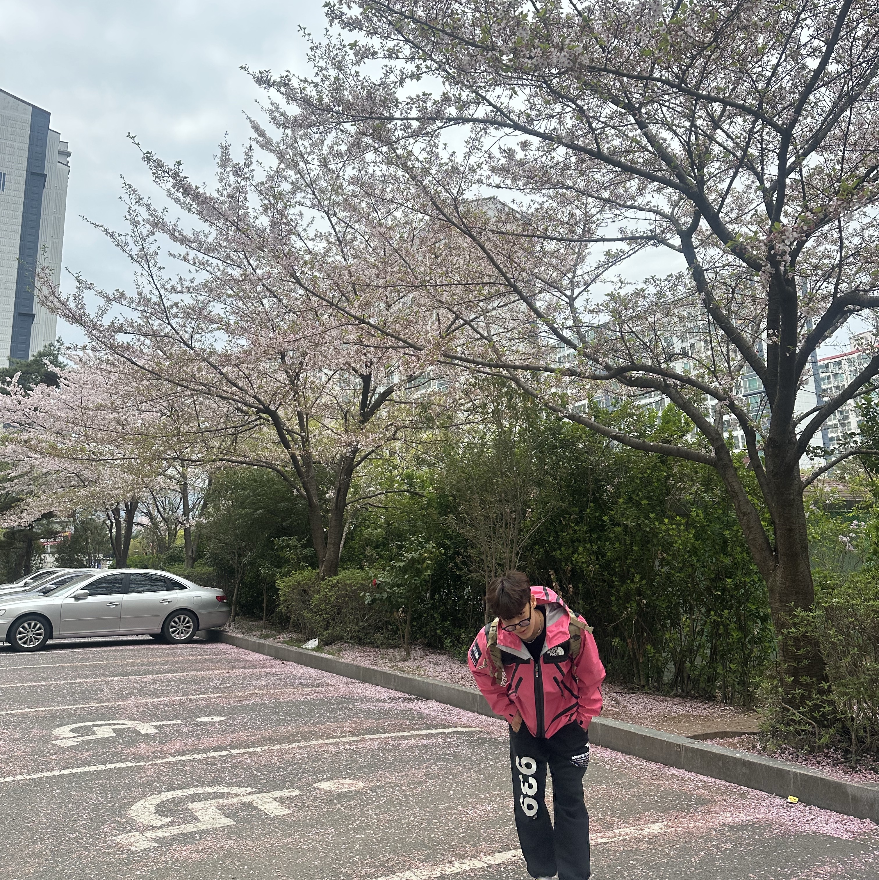 Supreme x The North Face Summit Series Outer Tape Seam Jacket Pink - 21SS 착용 스타일 - 2