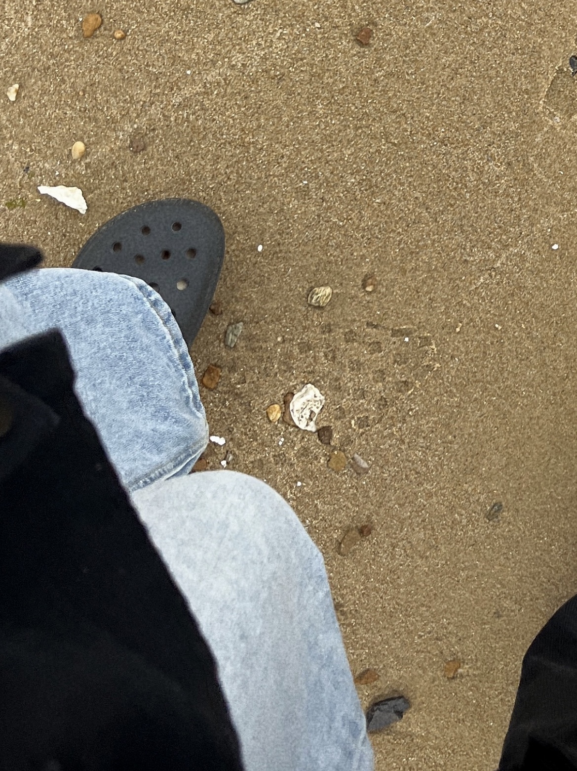 (W) Crocs Classic Platform Clog Black 착용 스타일 - 1
