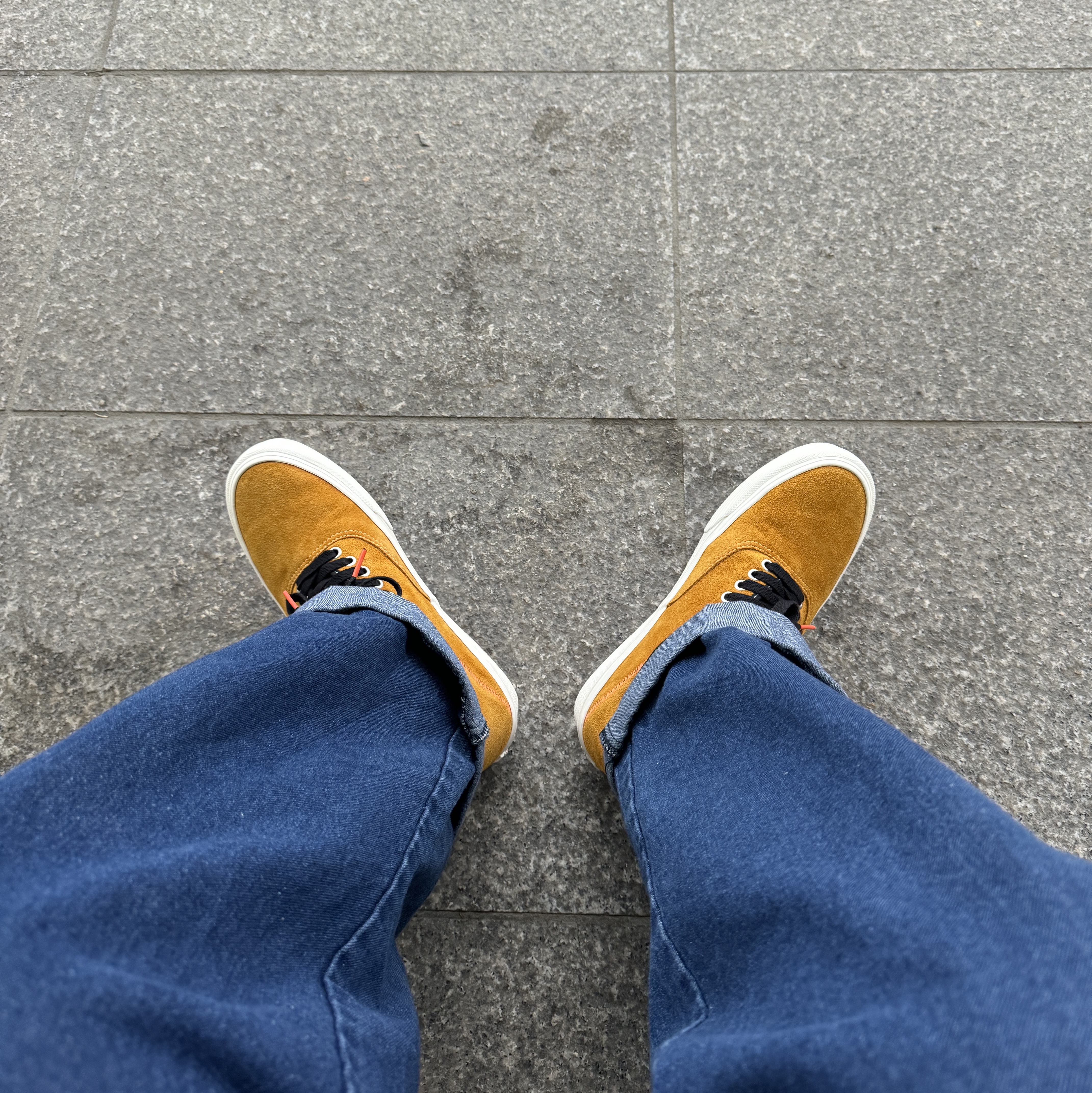 Vans Authentic Convert Growth Garden Sunflower 착용 스타일