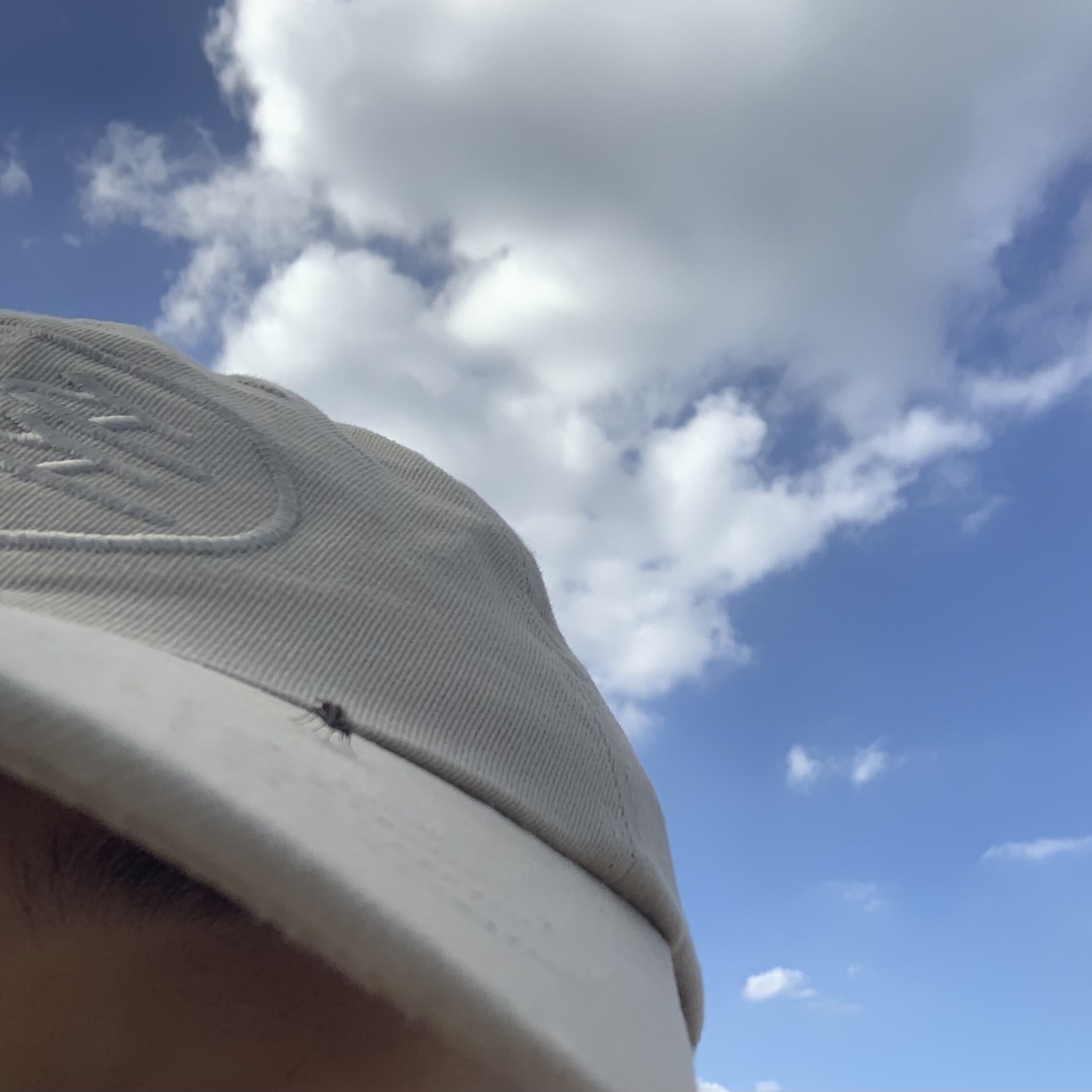 Dada Student Cap Beige 착용 스타일