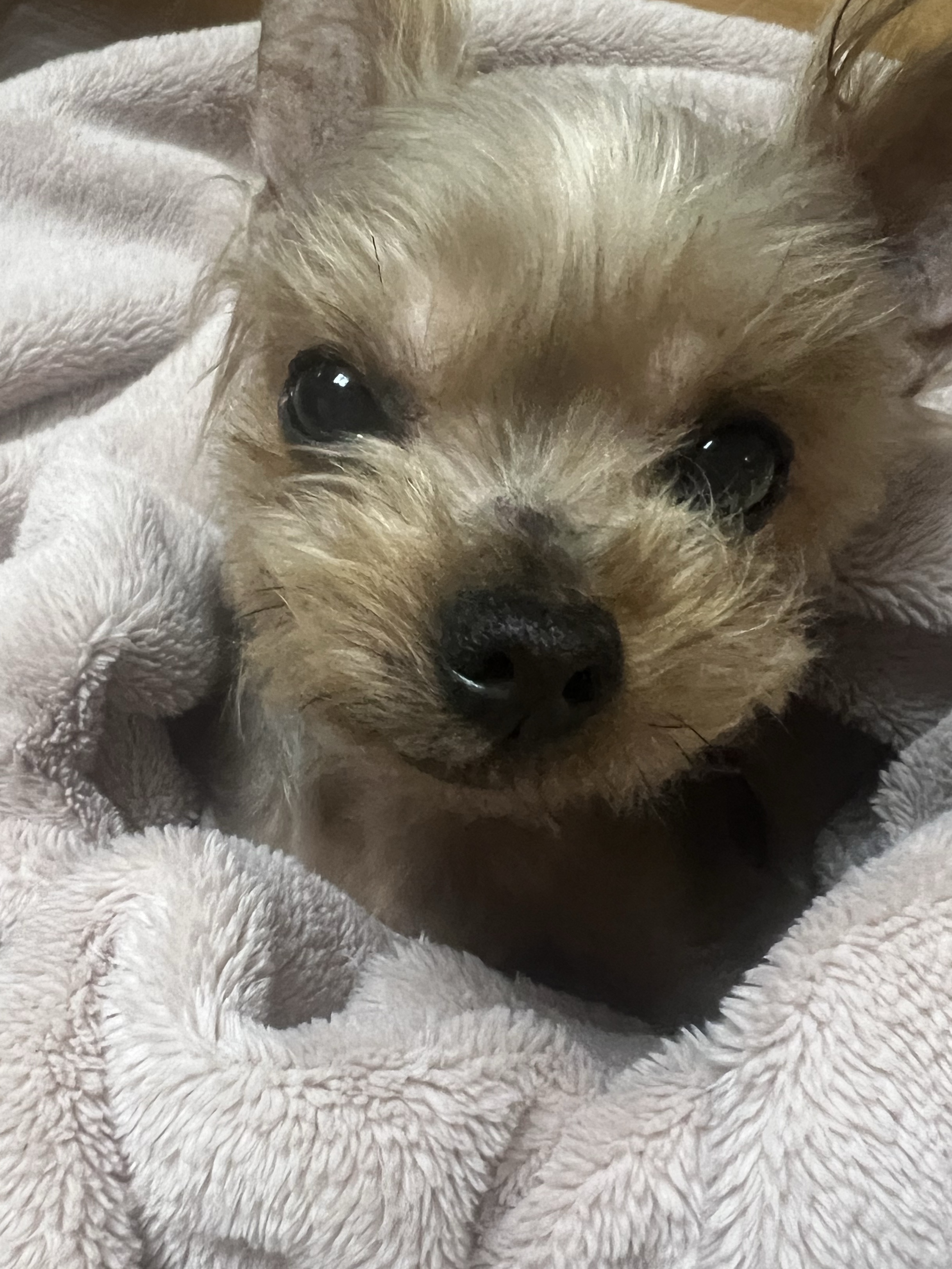 coooooooooow님의 스타일 - 6