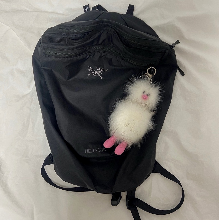 Arc'teryx Heliad 15 Backpack Black, Cosymosy Ugly Bird Keyring White 착용 스타일 - 1